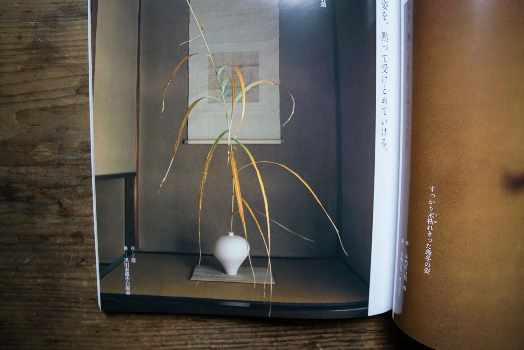 RA_ikebana book-2016121205667.jpg