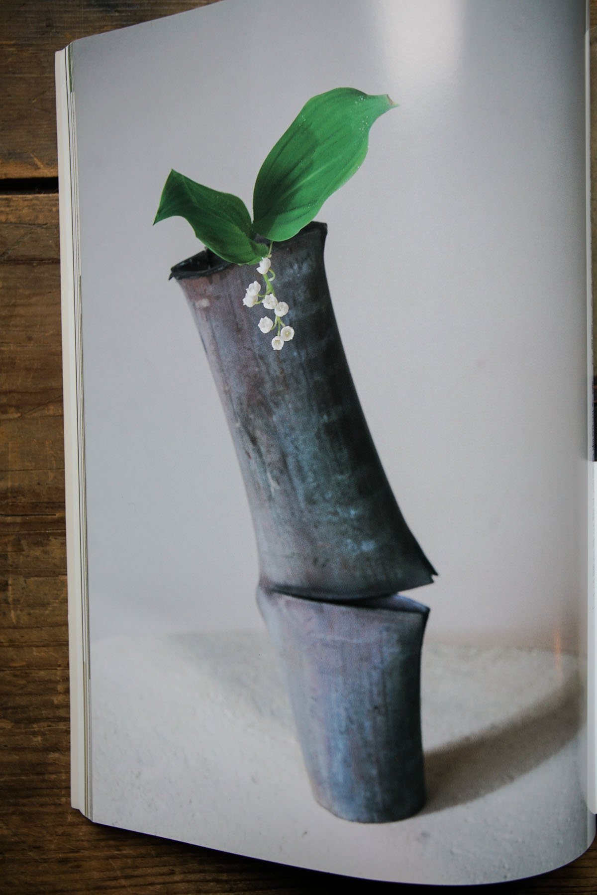 RA_ikebana book-2016121205671.jpg