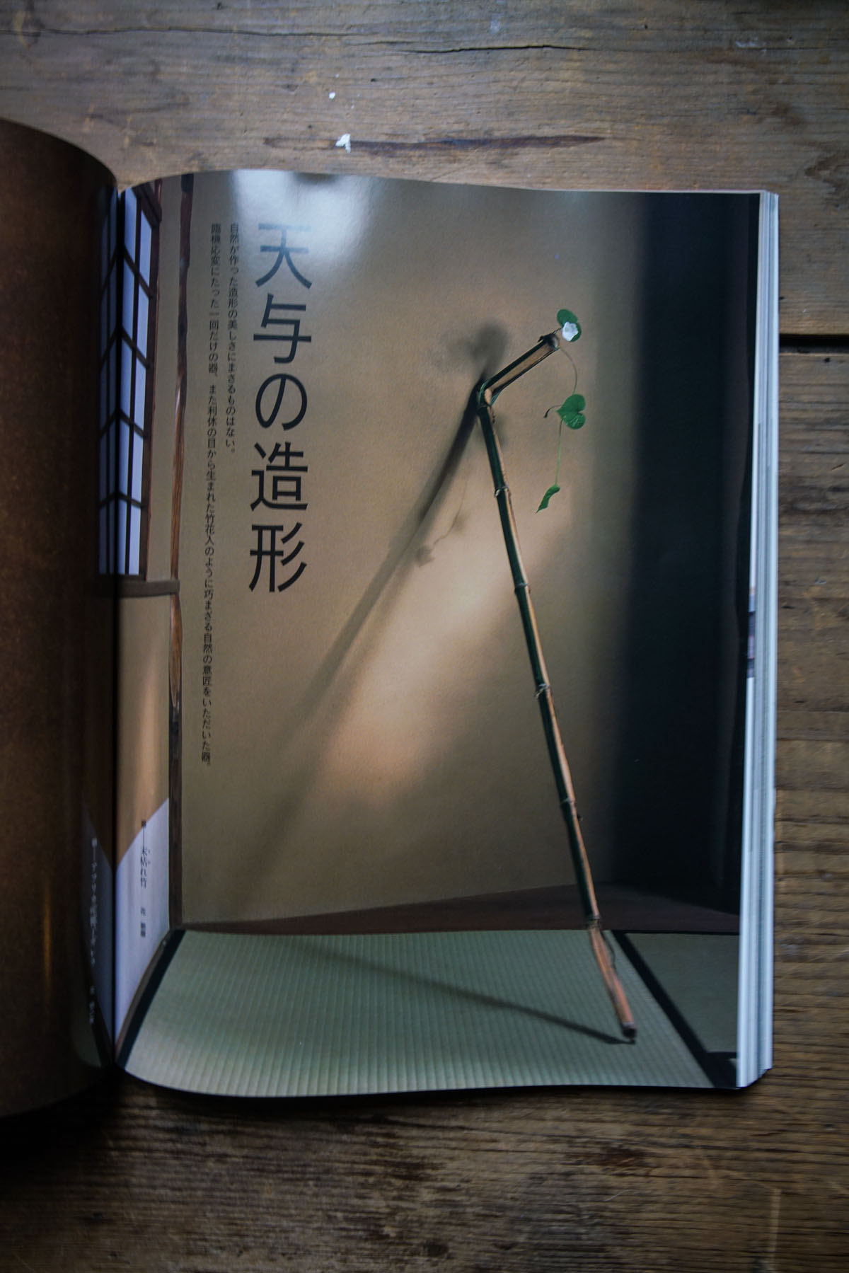 RA_ikebana book-2016121205672.jpg