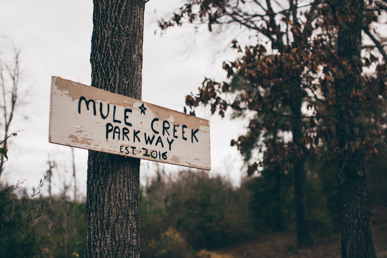 KK_mulecreek-9004.jpg