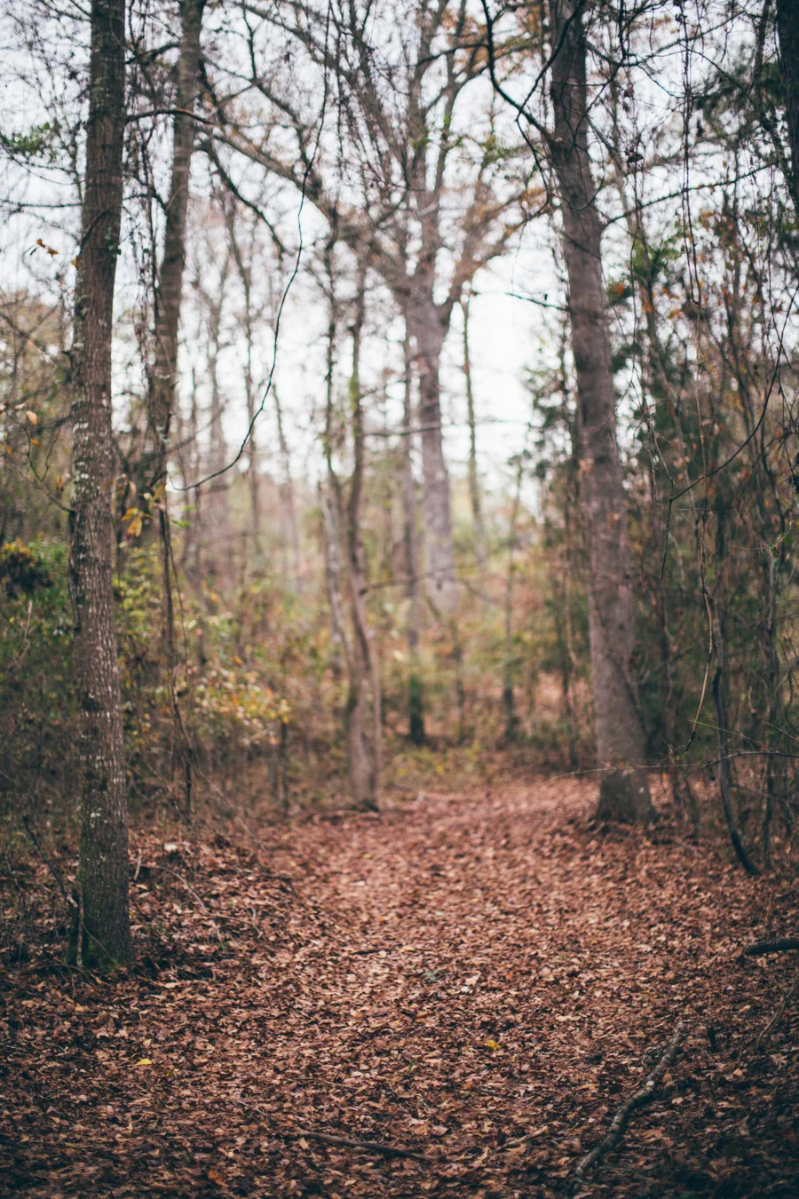 KK_mulecreek-9041.jpg