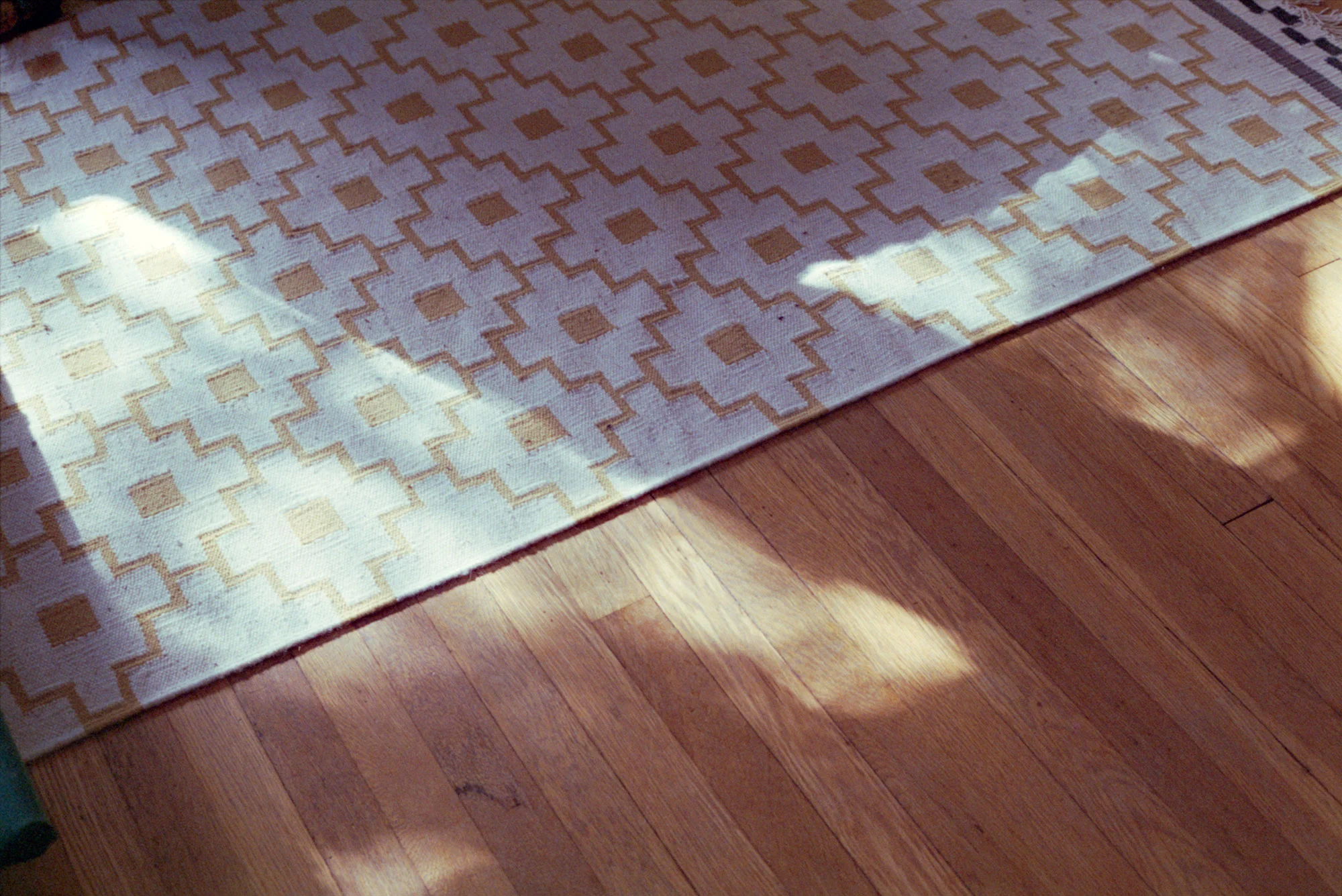 floor.jpg