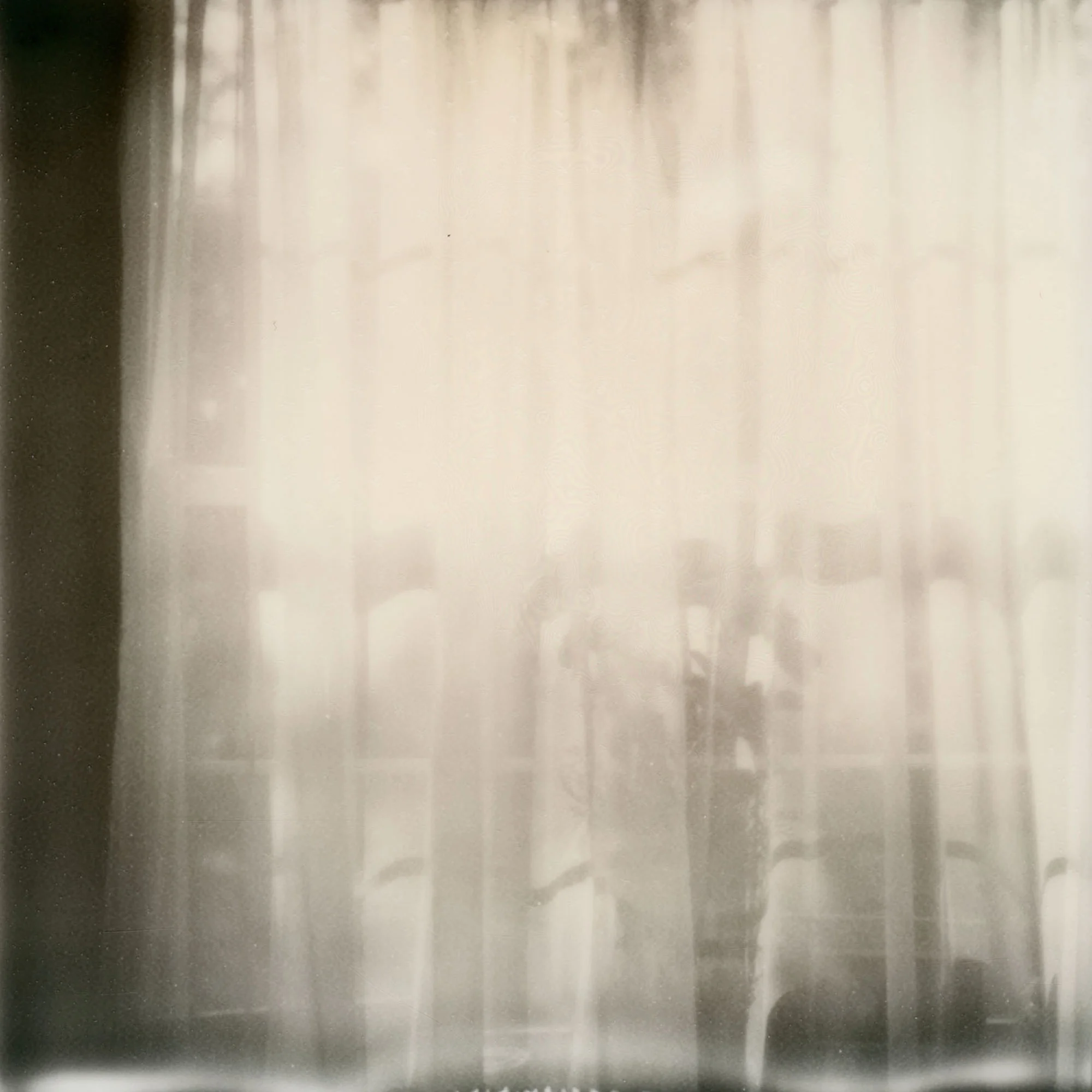 polaroid_window_2.jpg