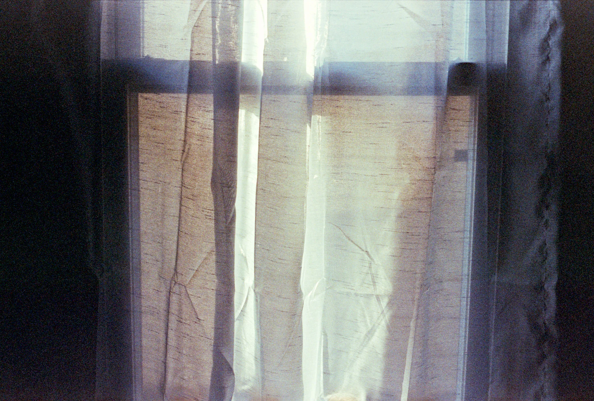 window_1.jpg