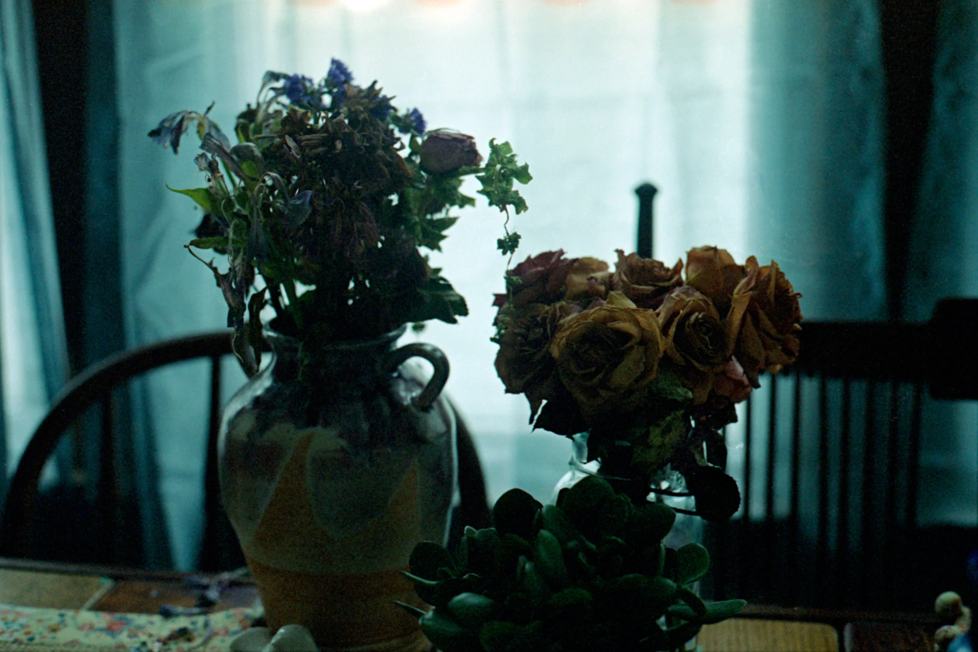 dead-flower.jpg