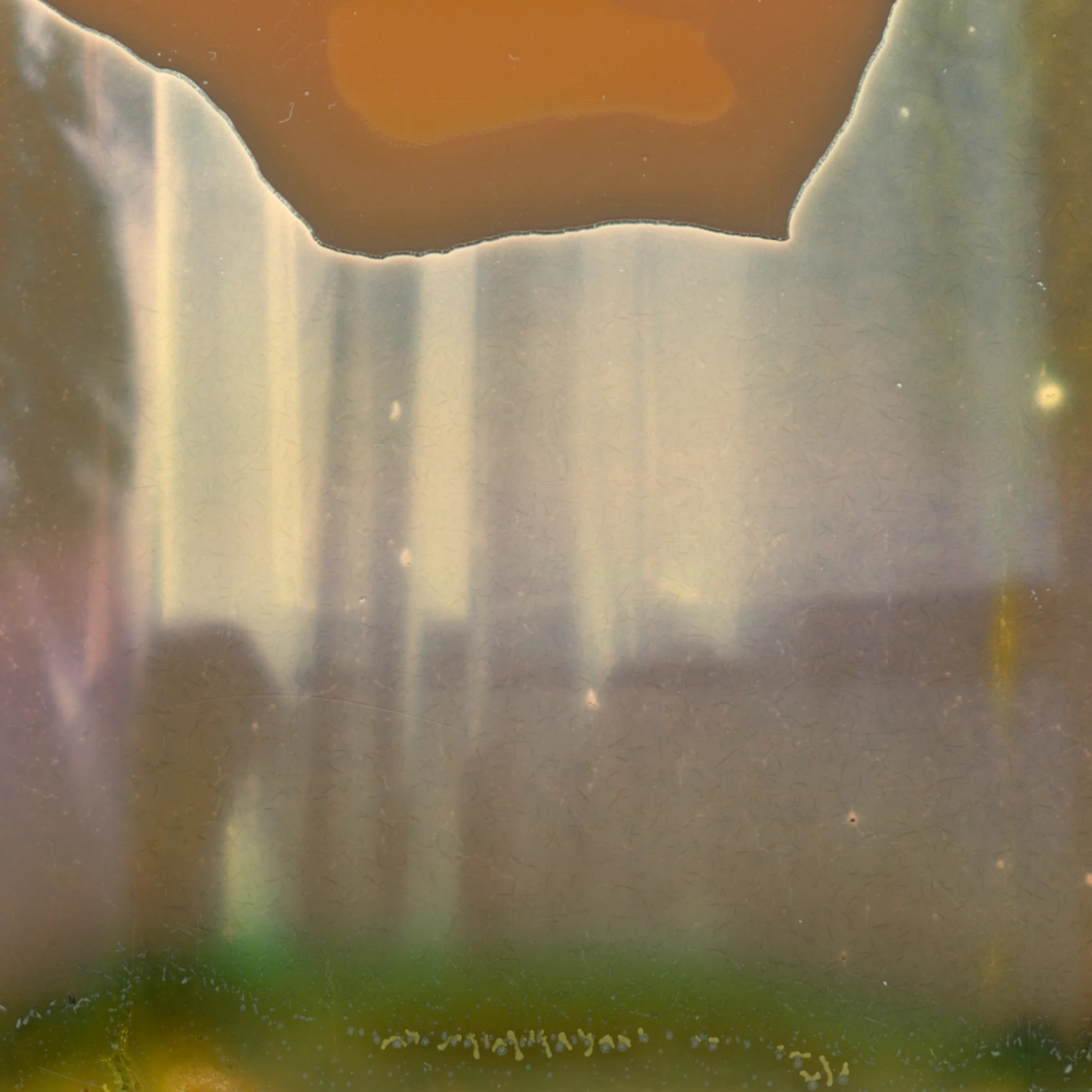polaroid_window_3.jpg