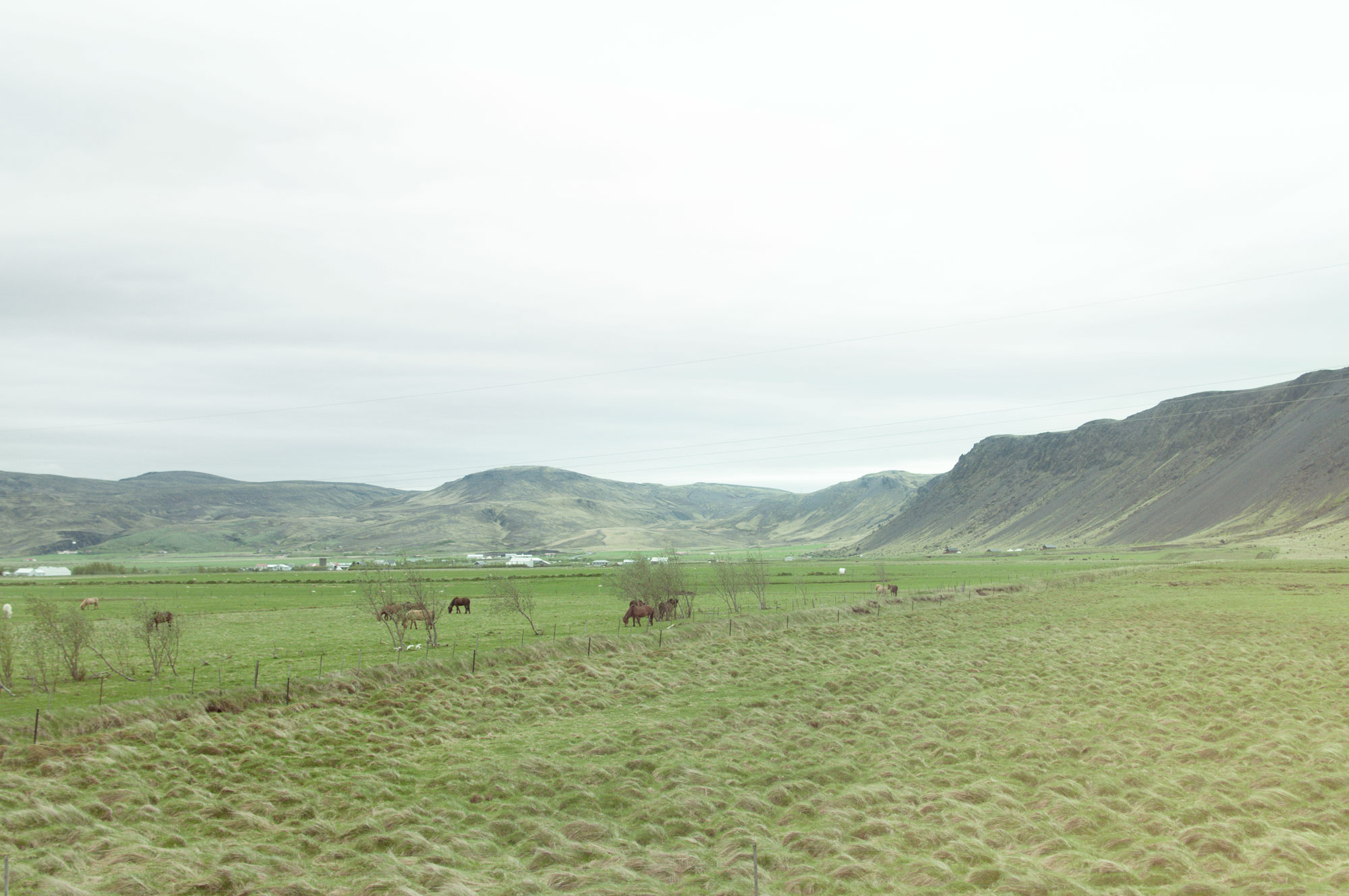 iceland_0088.jpg