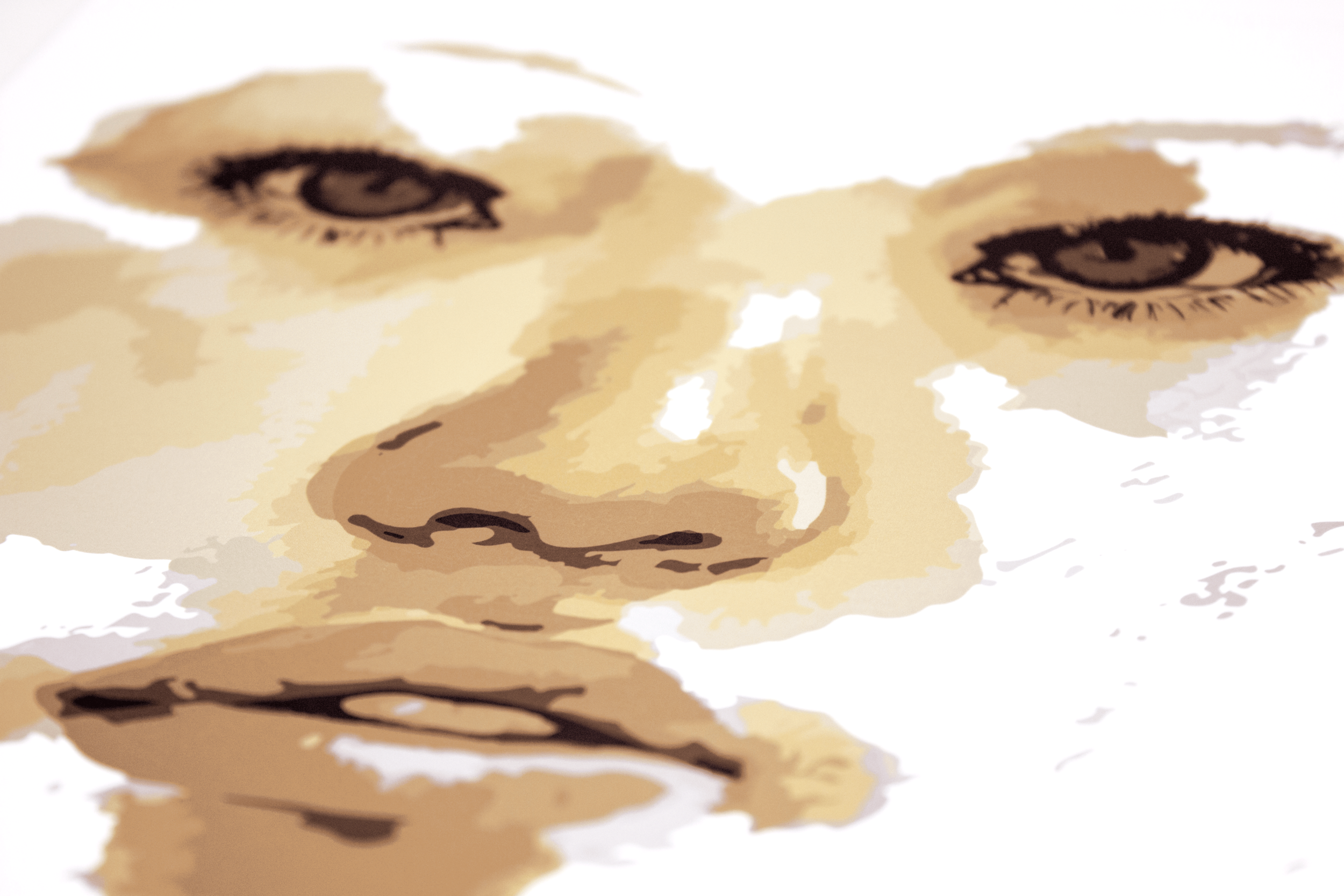 Cover.png