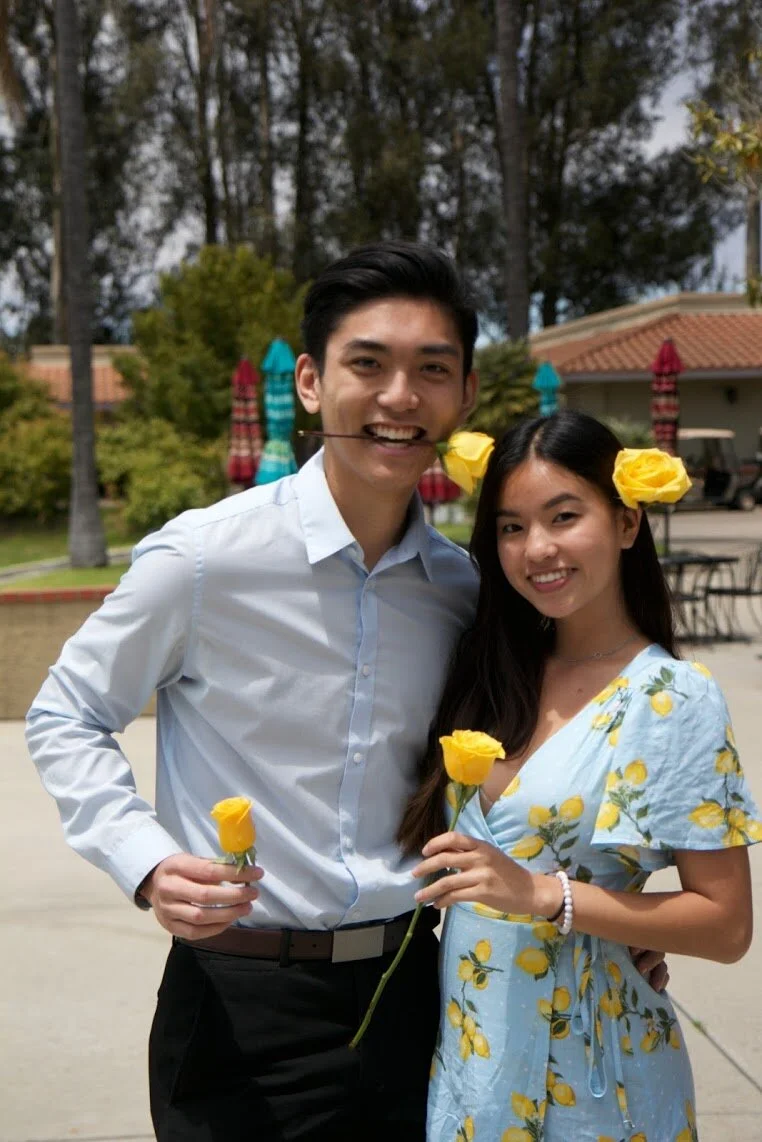 Yellow Rose 2019