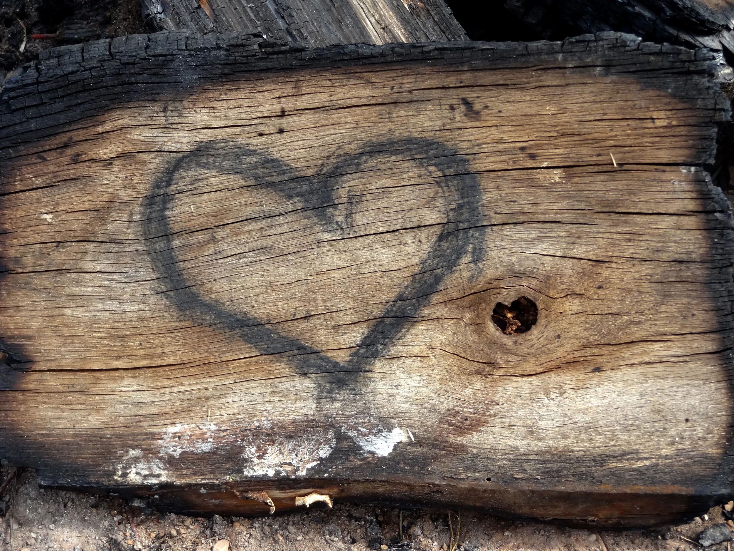 Small Group Bible Studies