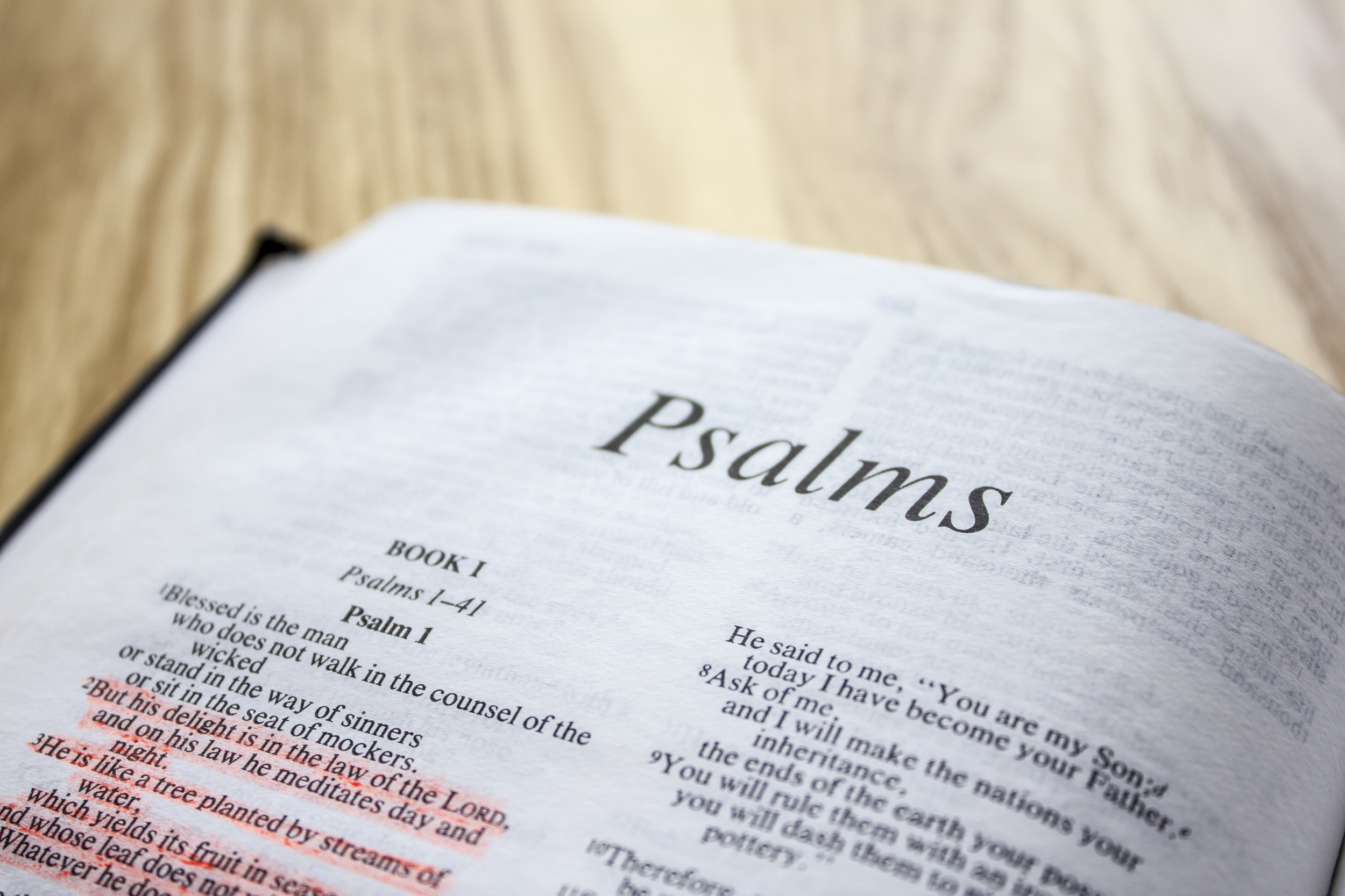 Ladies Bible Study