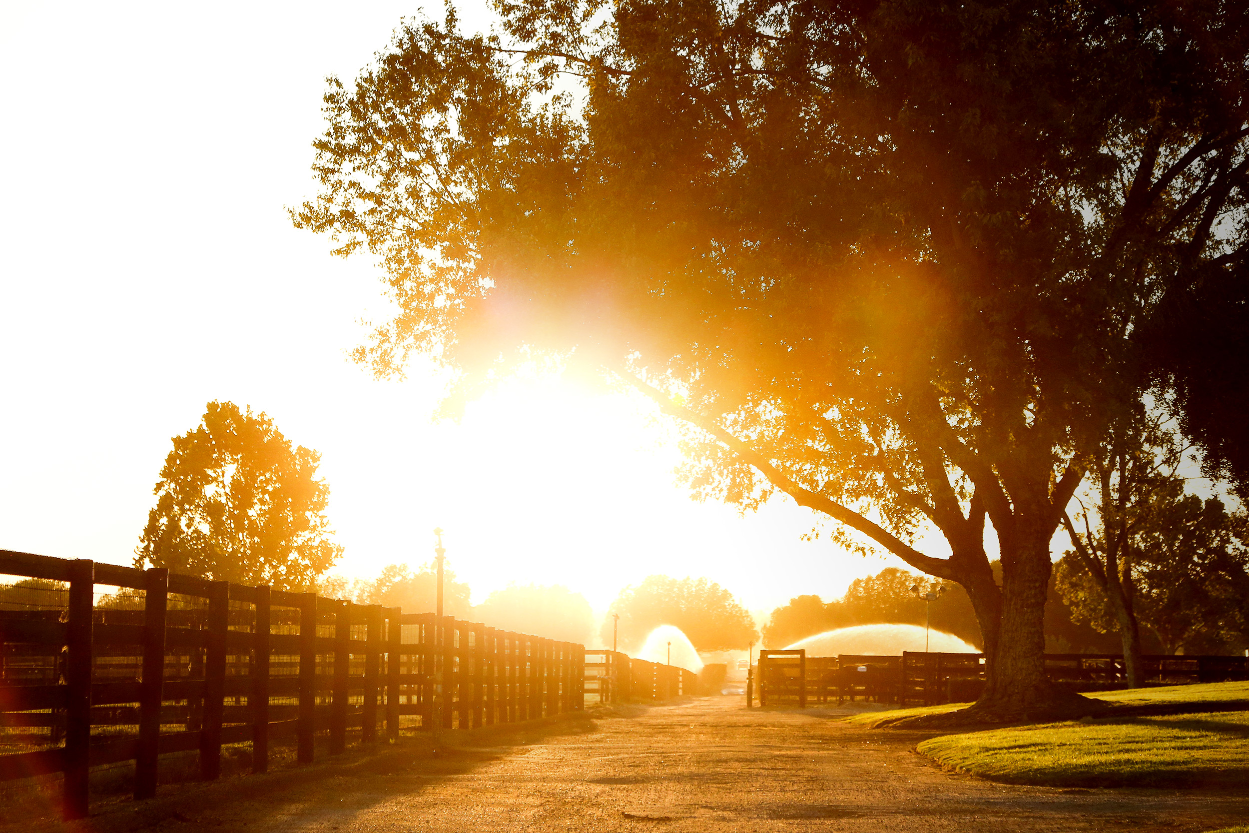 BARTON-FARMS_2.jpg