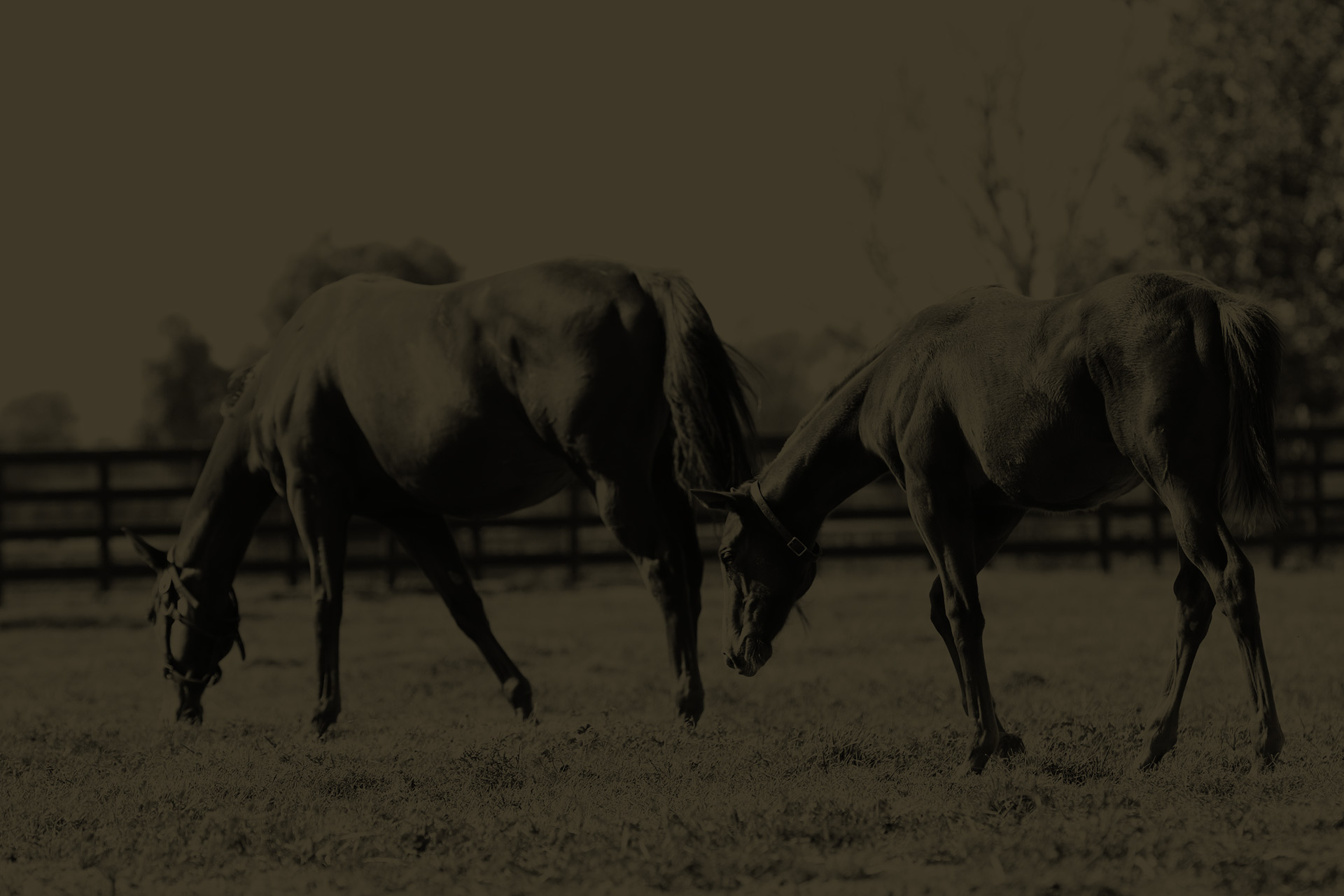 GeneralFarmScene&Signage925-web.jpg
