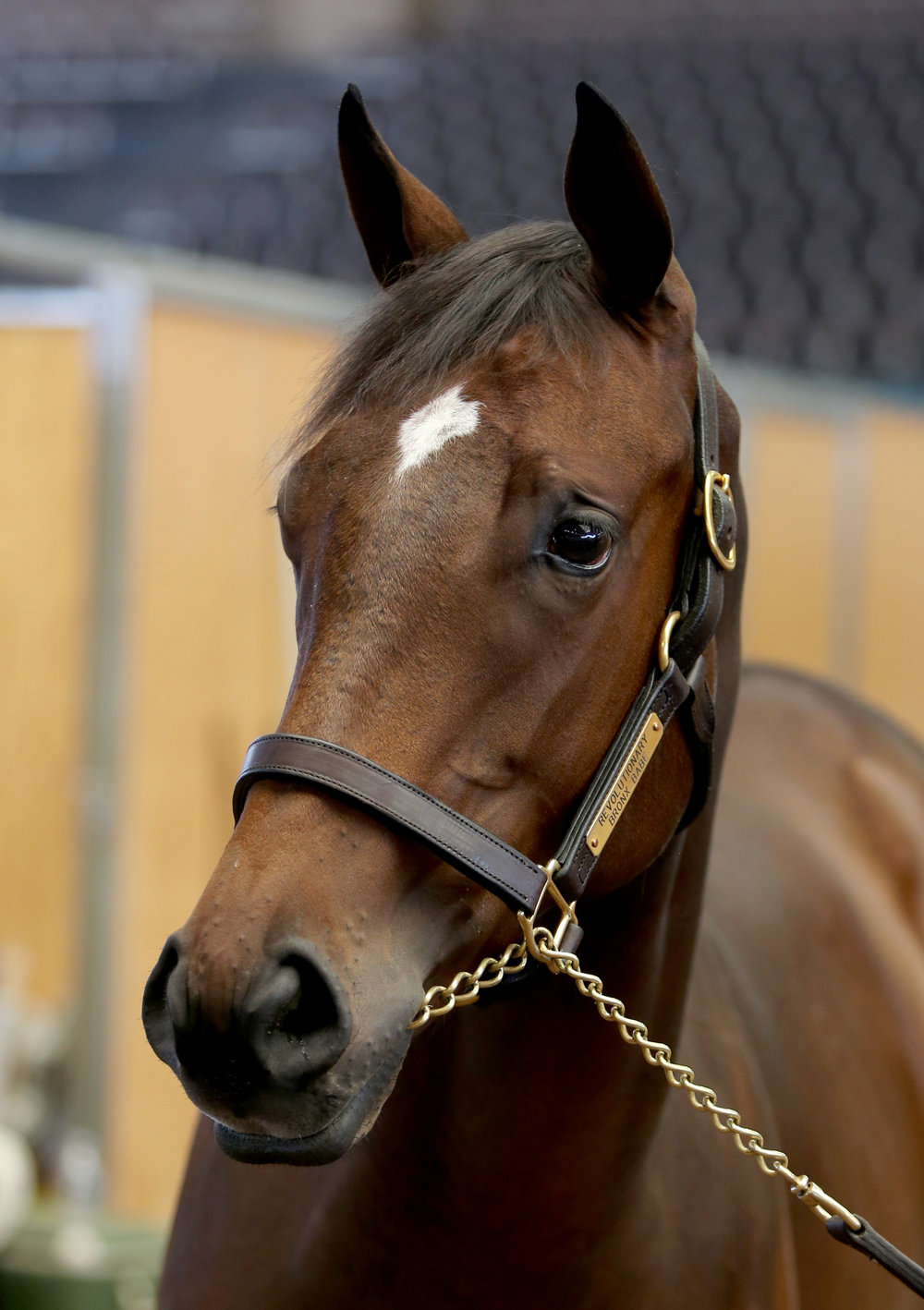 BARAUG18-Hip9Headshot(2).jpg