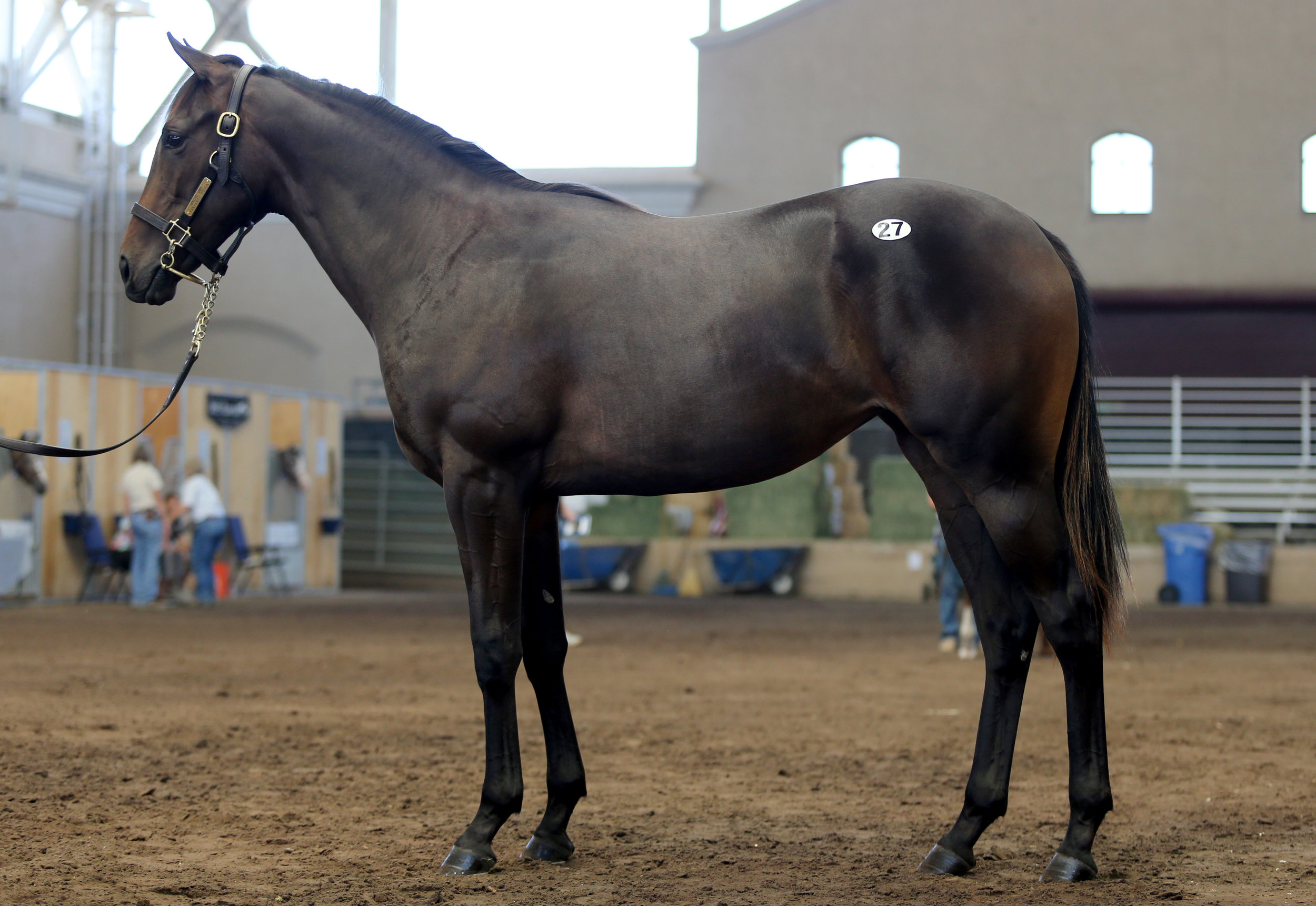 BARAUG18-Hip27-Conformation.jpg