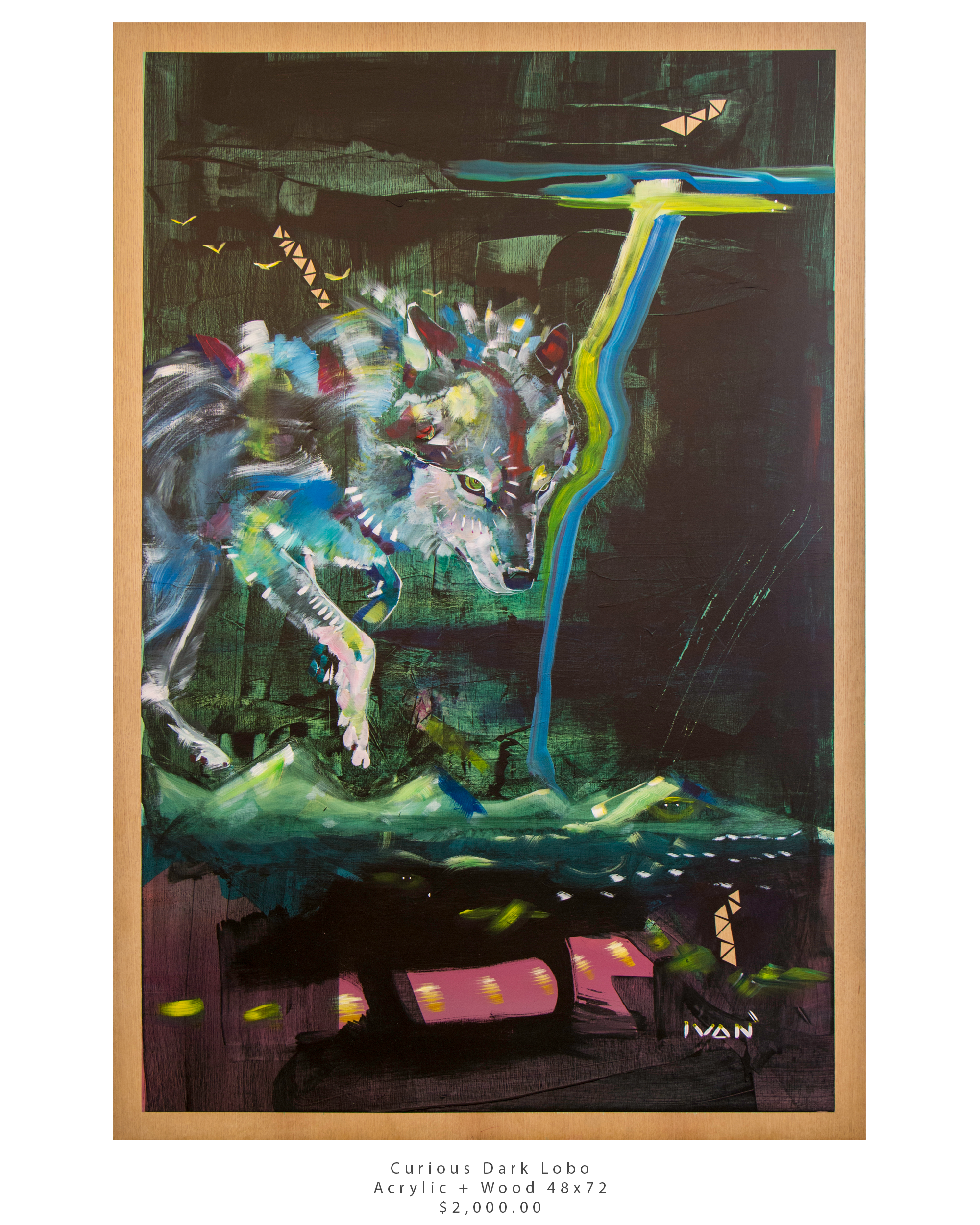 curious dark lobo 48x72.png