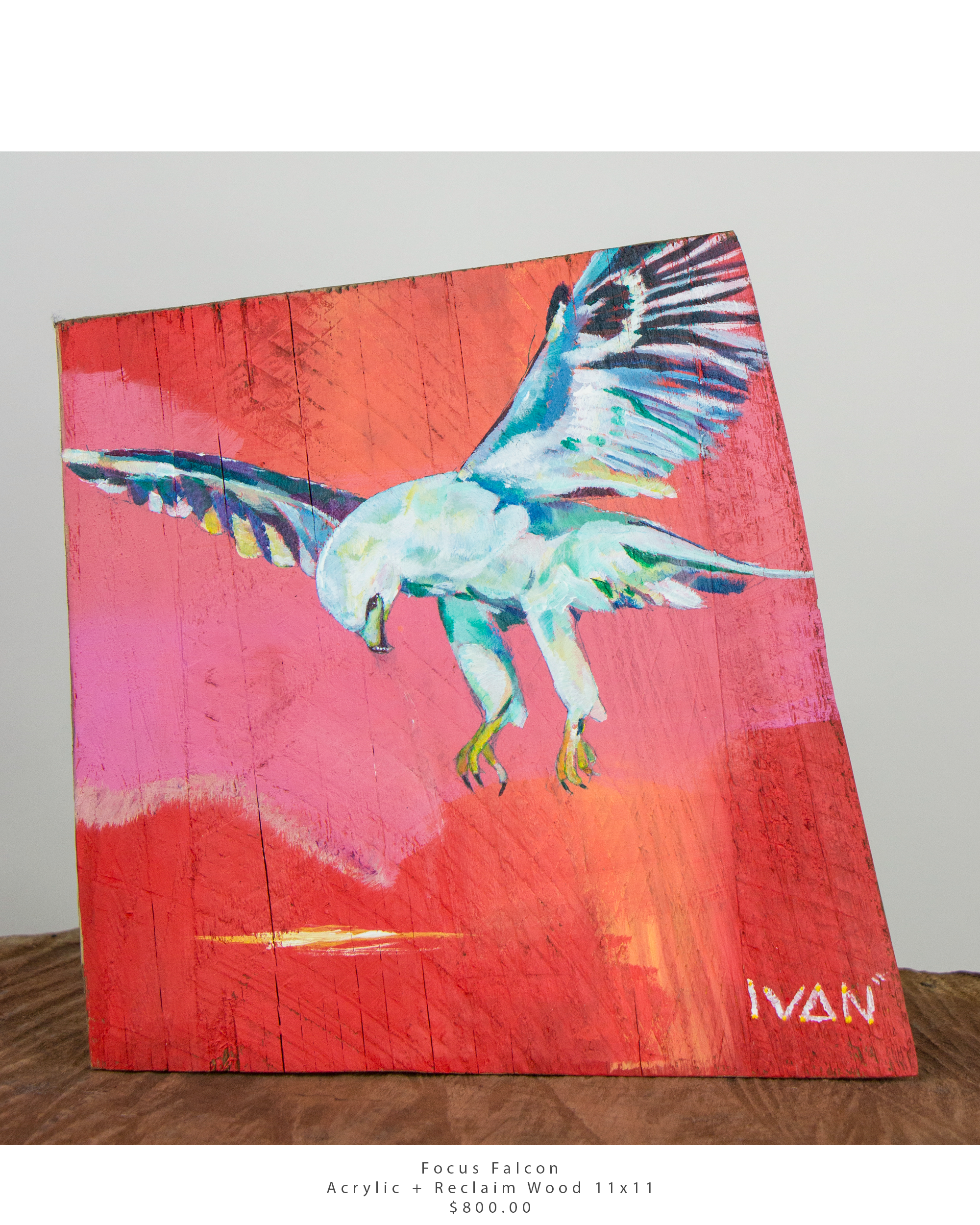 Focus Falcon 11x11.png