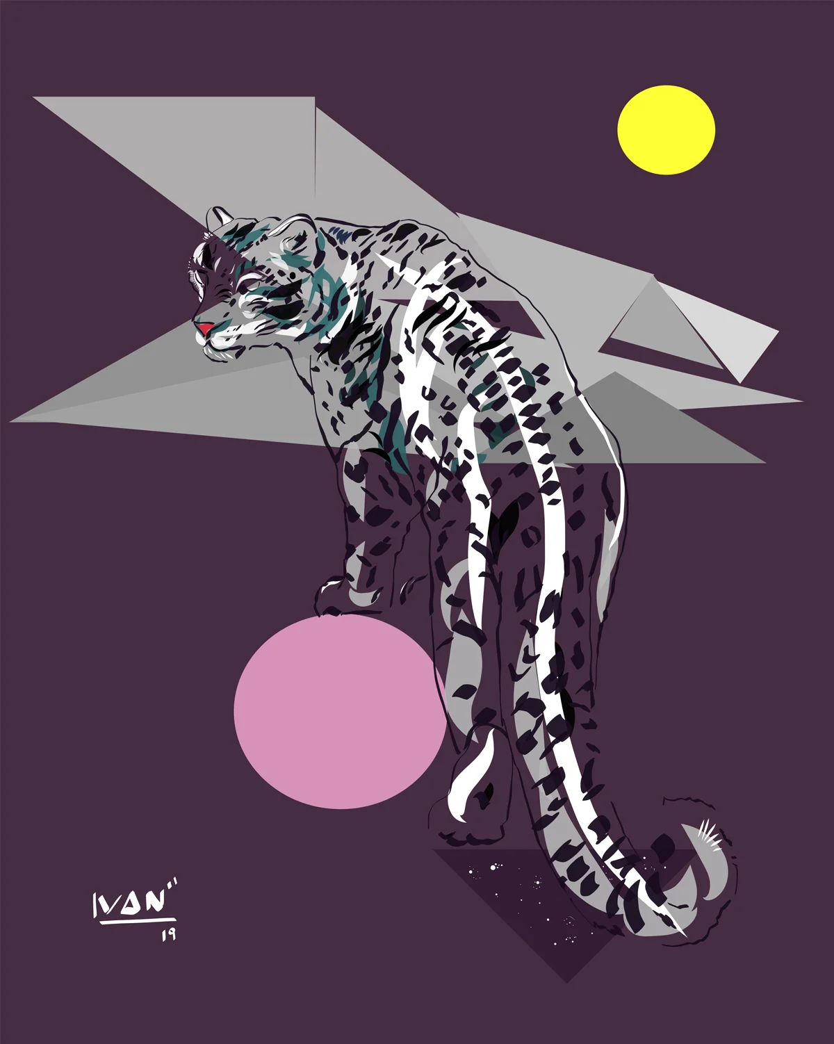 Snow-leapard.jpg