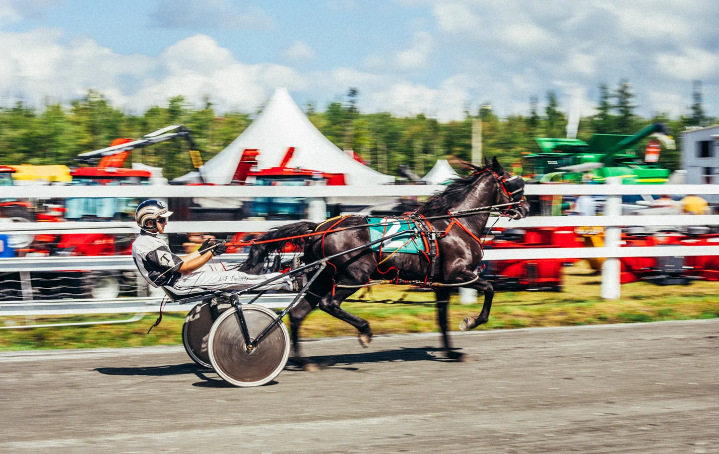 IMG_6537.jpg