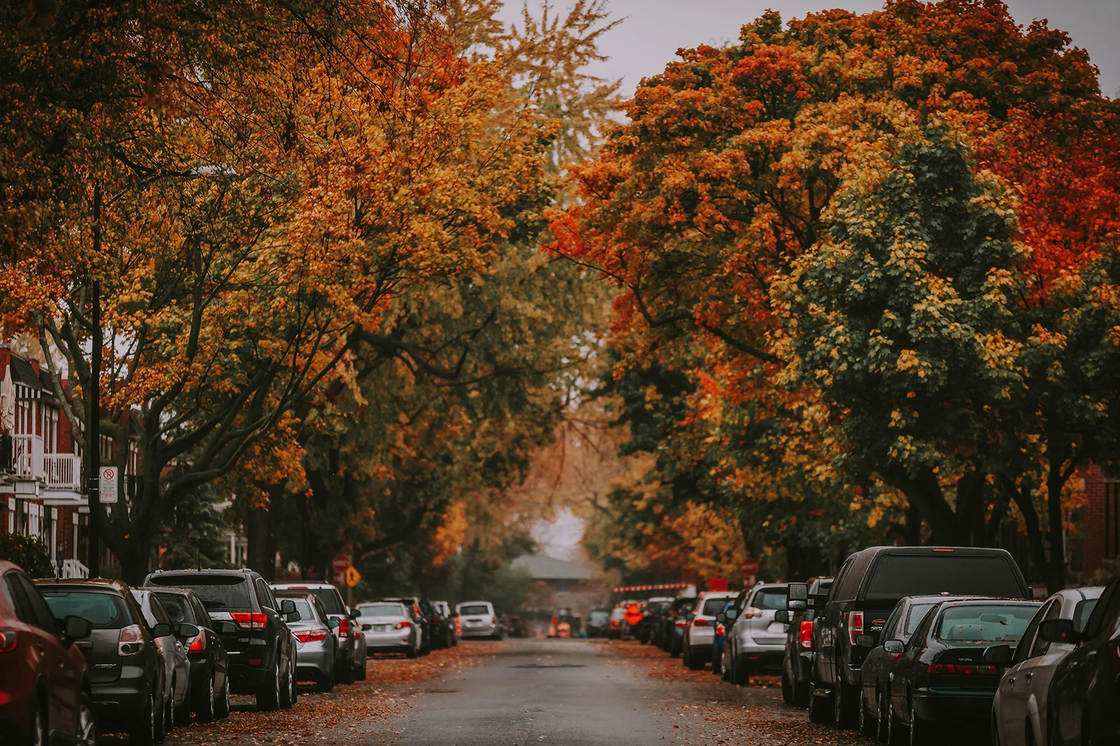 streetsinfallweb.jpg
