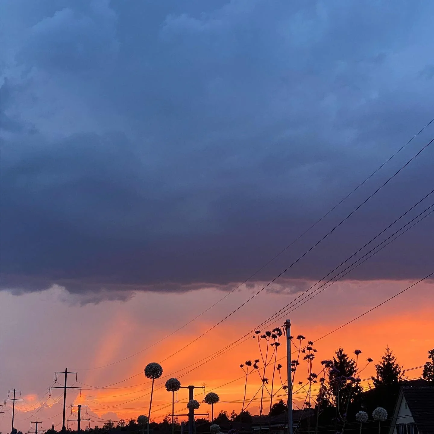 #summersolstice one step closer to snow !