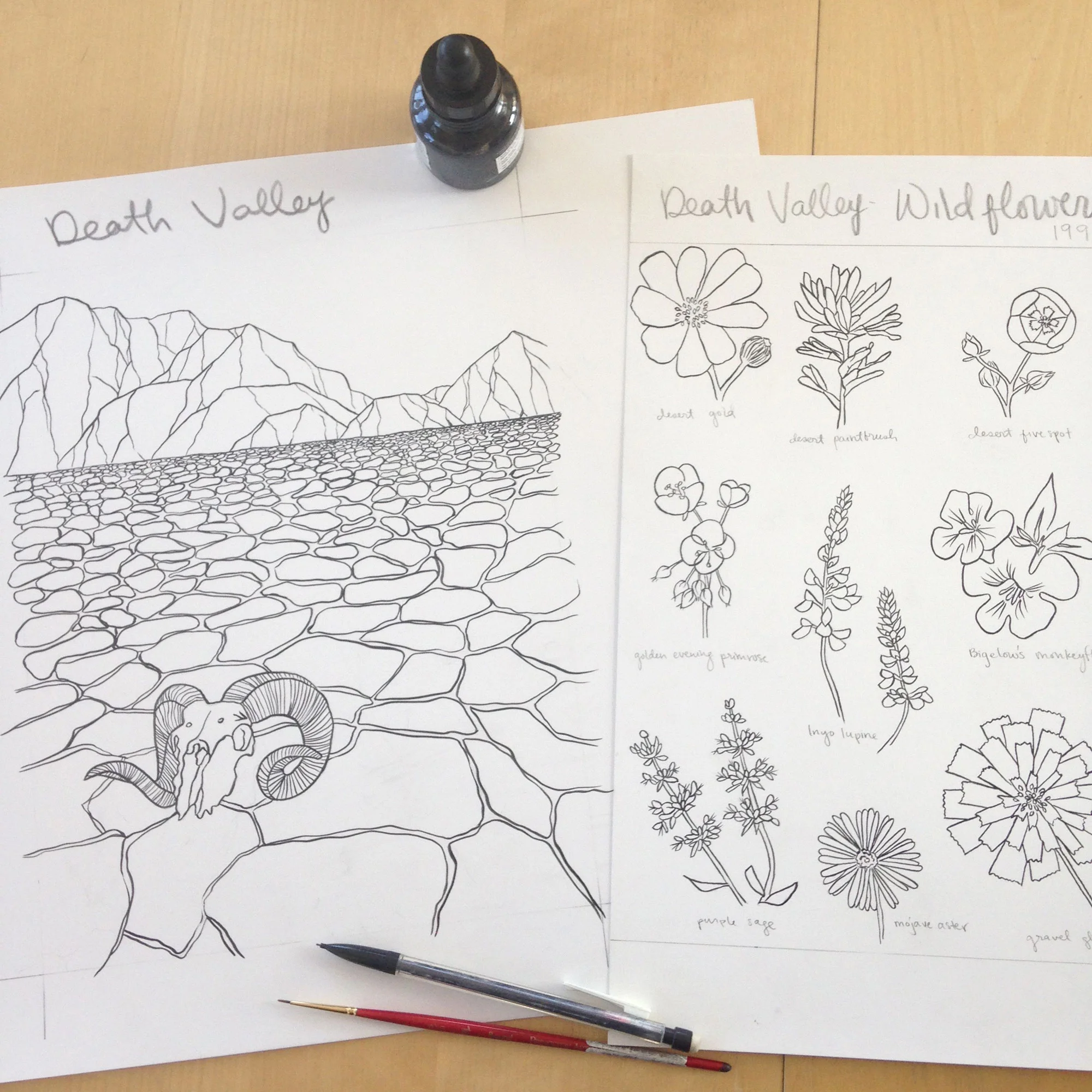  from  The National Parks Coloring Book &nbsp;by Sophie Tivona. Copyright© 2016 HarperCollins Publishers. Courtesy of HarperCollins Publishers 