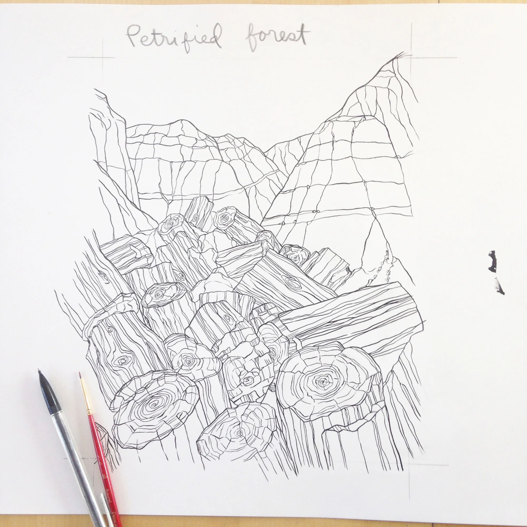  from  The National Parks Coloring Book &nbsp;by Sophie Tivona. Copyright© 2016 HarperCollins Publishers. Courtesy of HarperCollins Publishers 