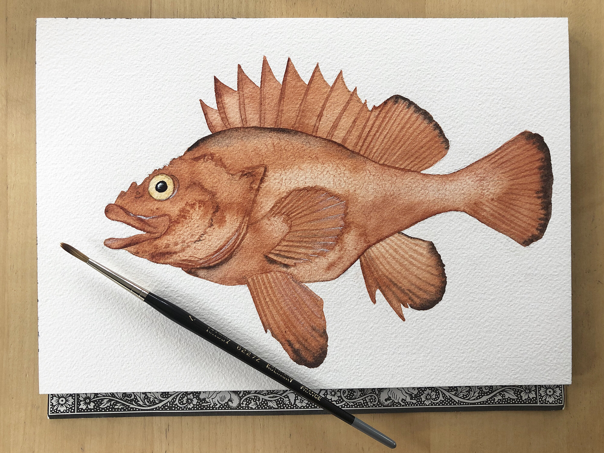 rockfish for website.jpg
