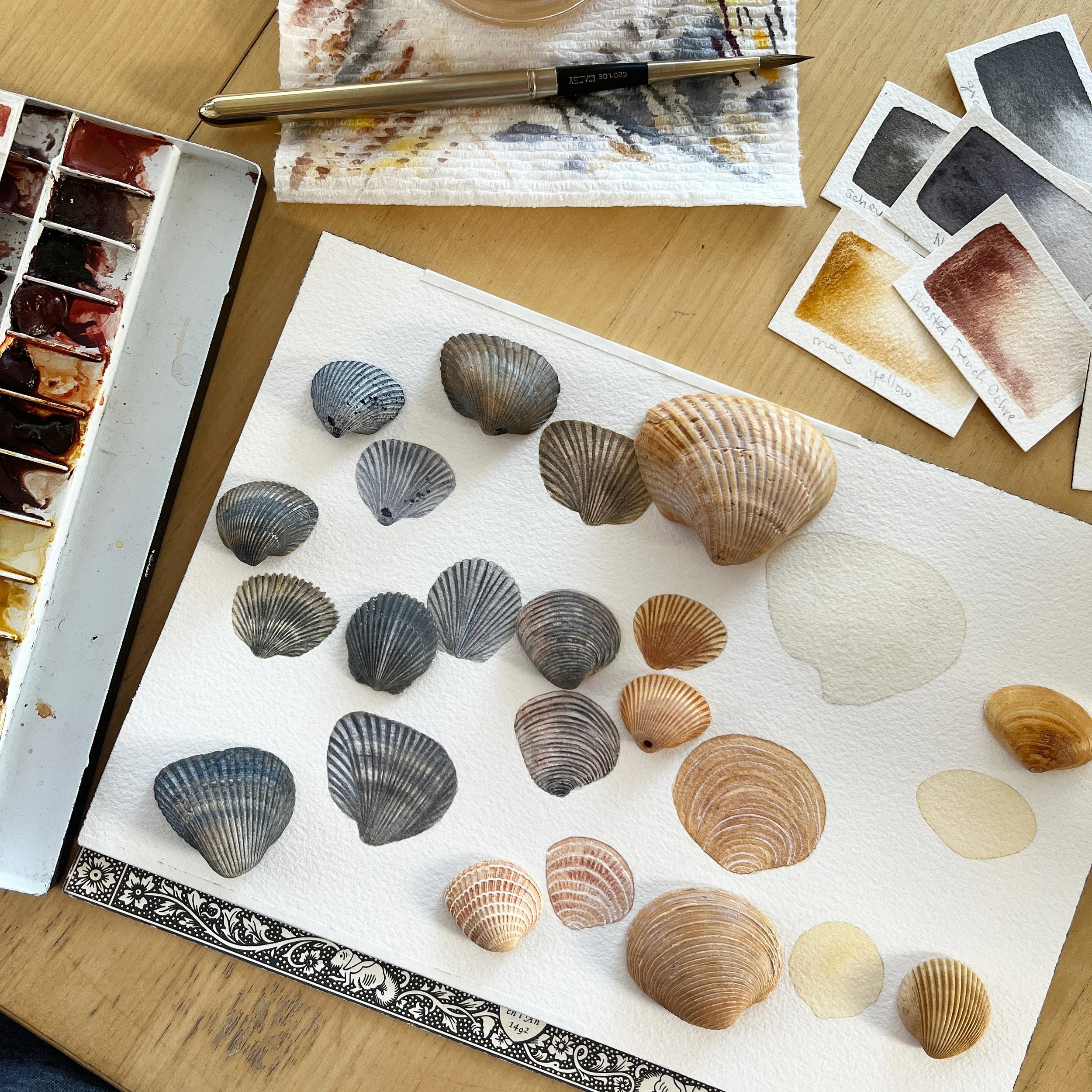 Painting Seashells - Online Class on Wednesday, 6/18 // 5pm - 6:30pm