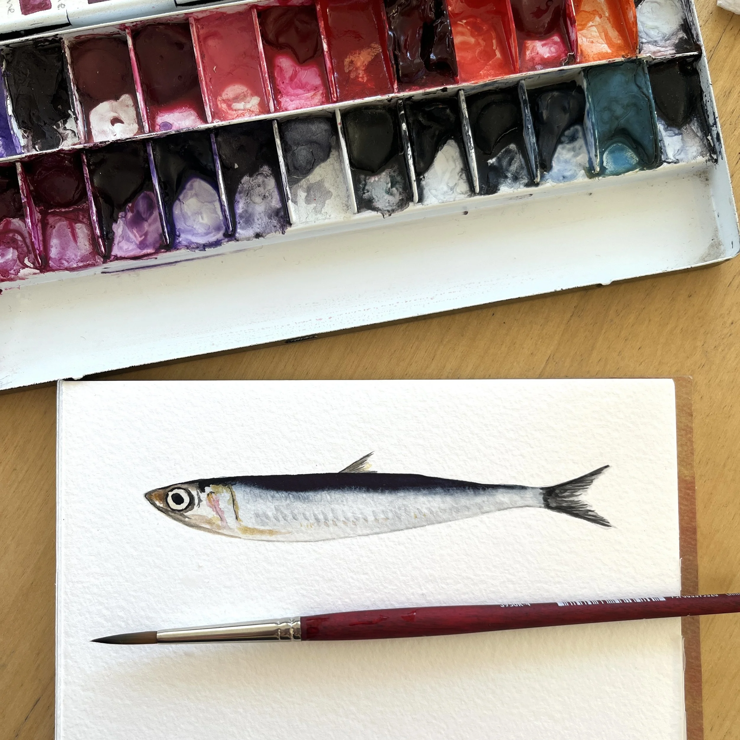 Little Fish!: Online Class on Wednesday, May 21st // 5:00 - 6:30pm