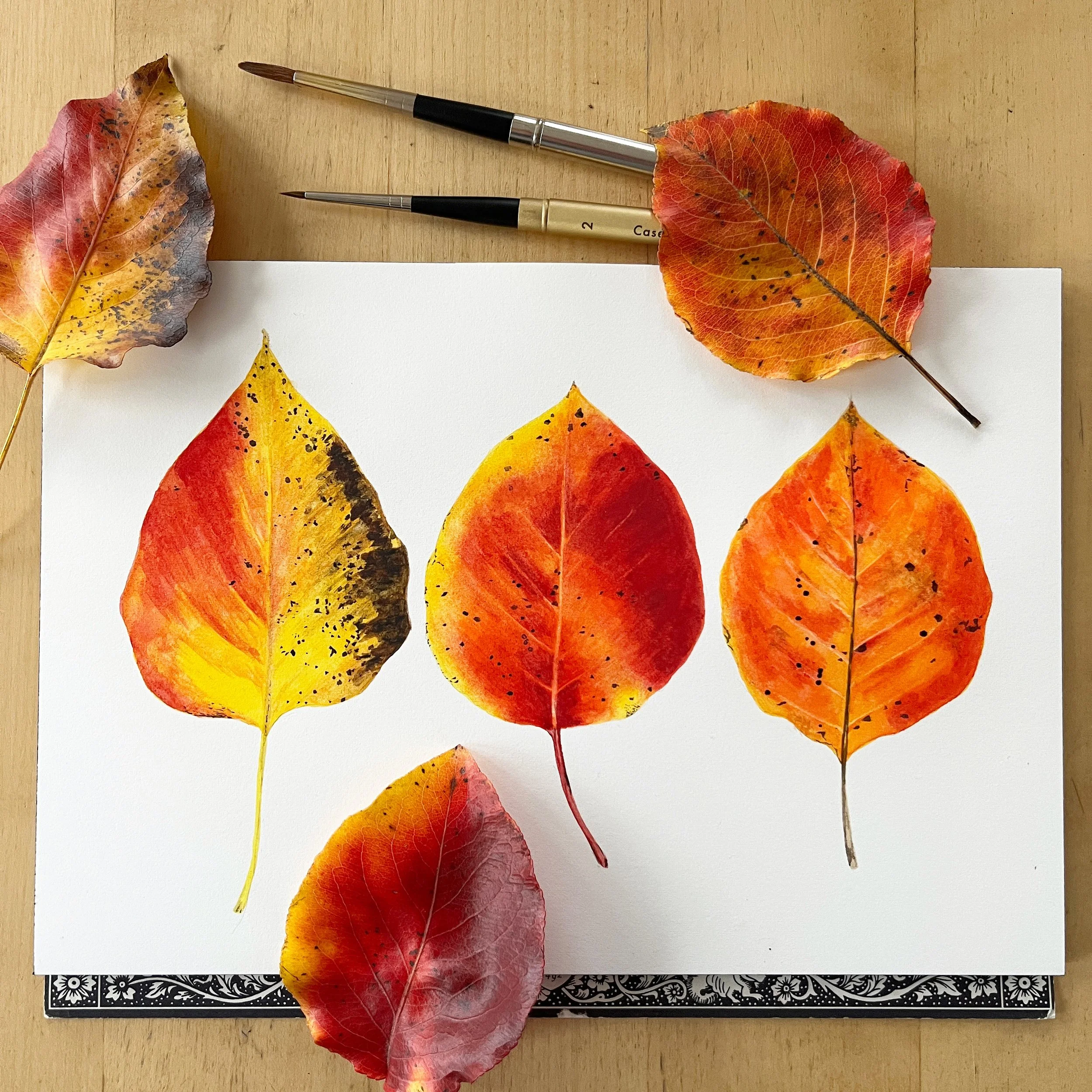 Painting Autumn Leaves - Online Class on Thursday, October 2 // 5:00pm-6:30pm