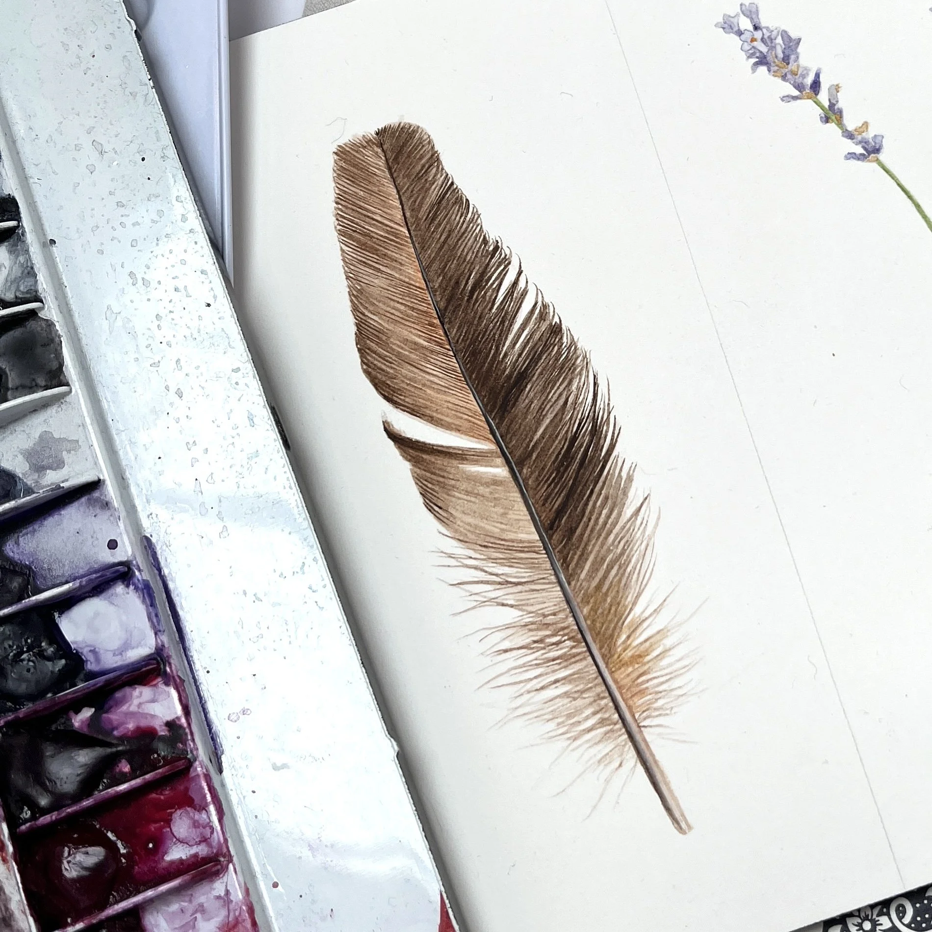 Painting Feathers!: Online Class on Thursday, November 5th // 5:00-6:30pm