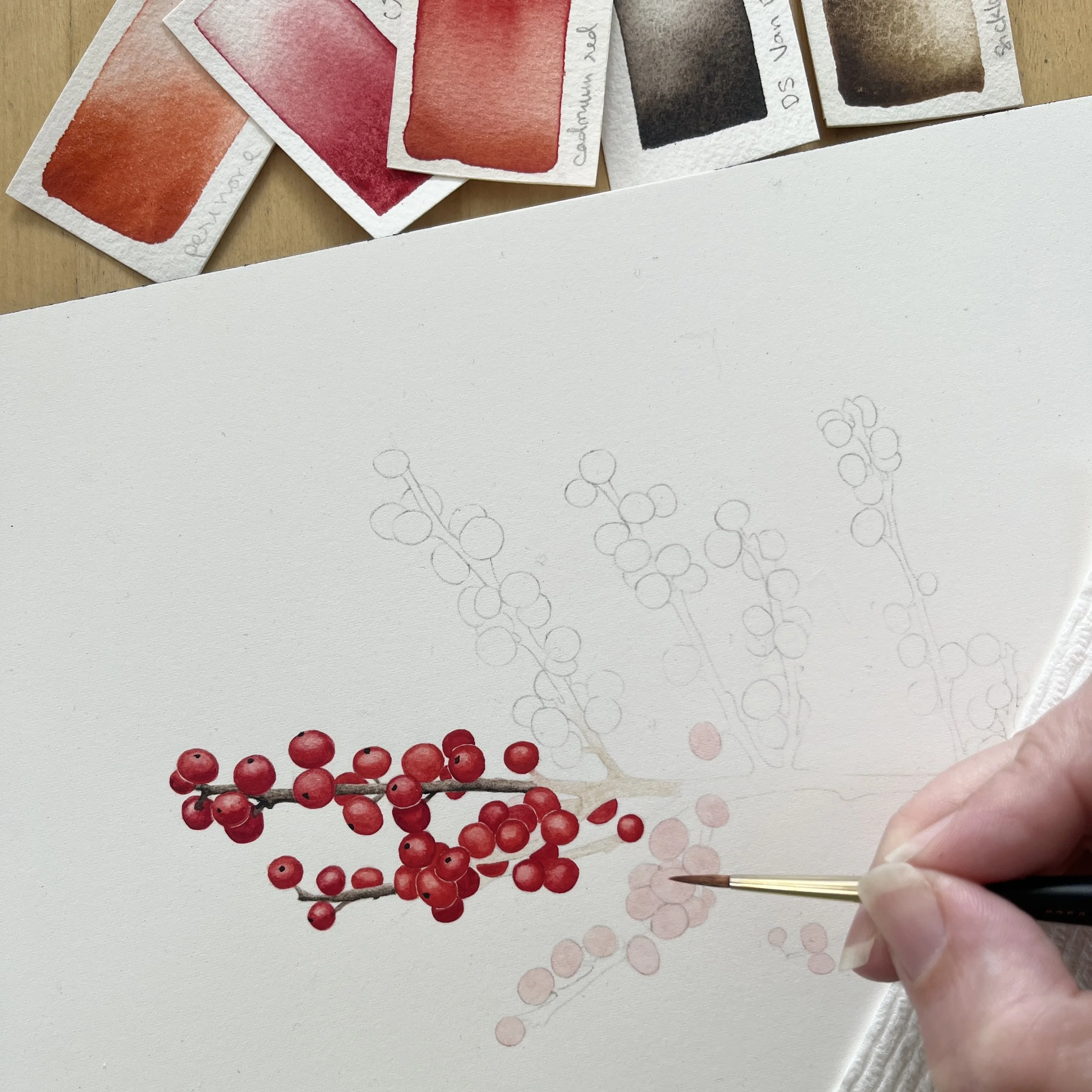 Painting Red Berries - Online Class on Wednesday, December 10 // 5:00pm-6:30pm