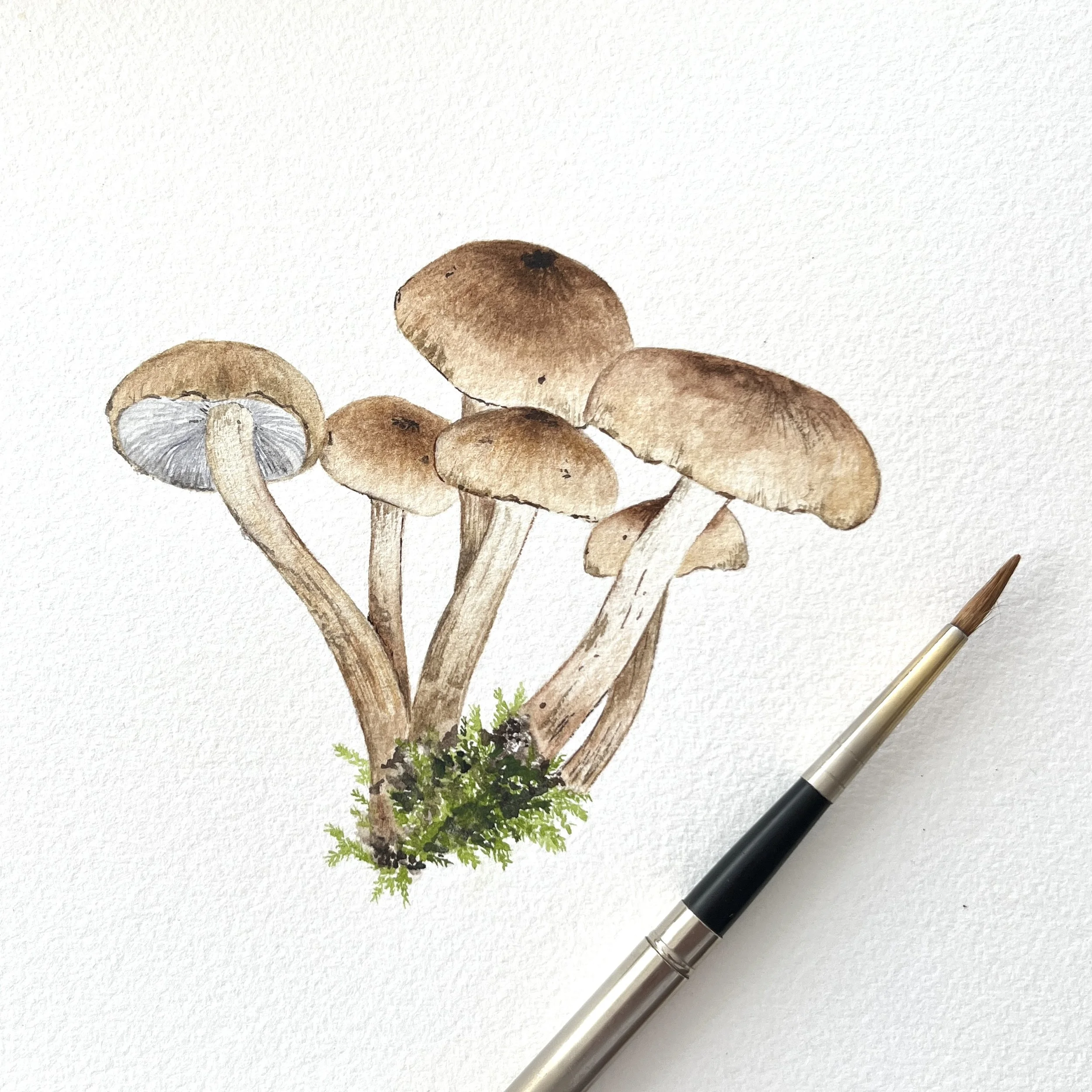 Painting Mushrooms! - Online Class on Wednesday, April 16 // 5:00pm-6:30pm