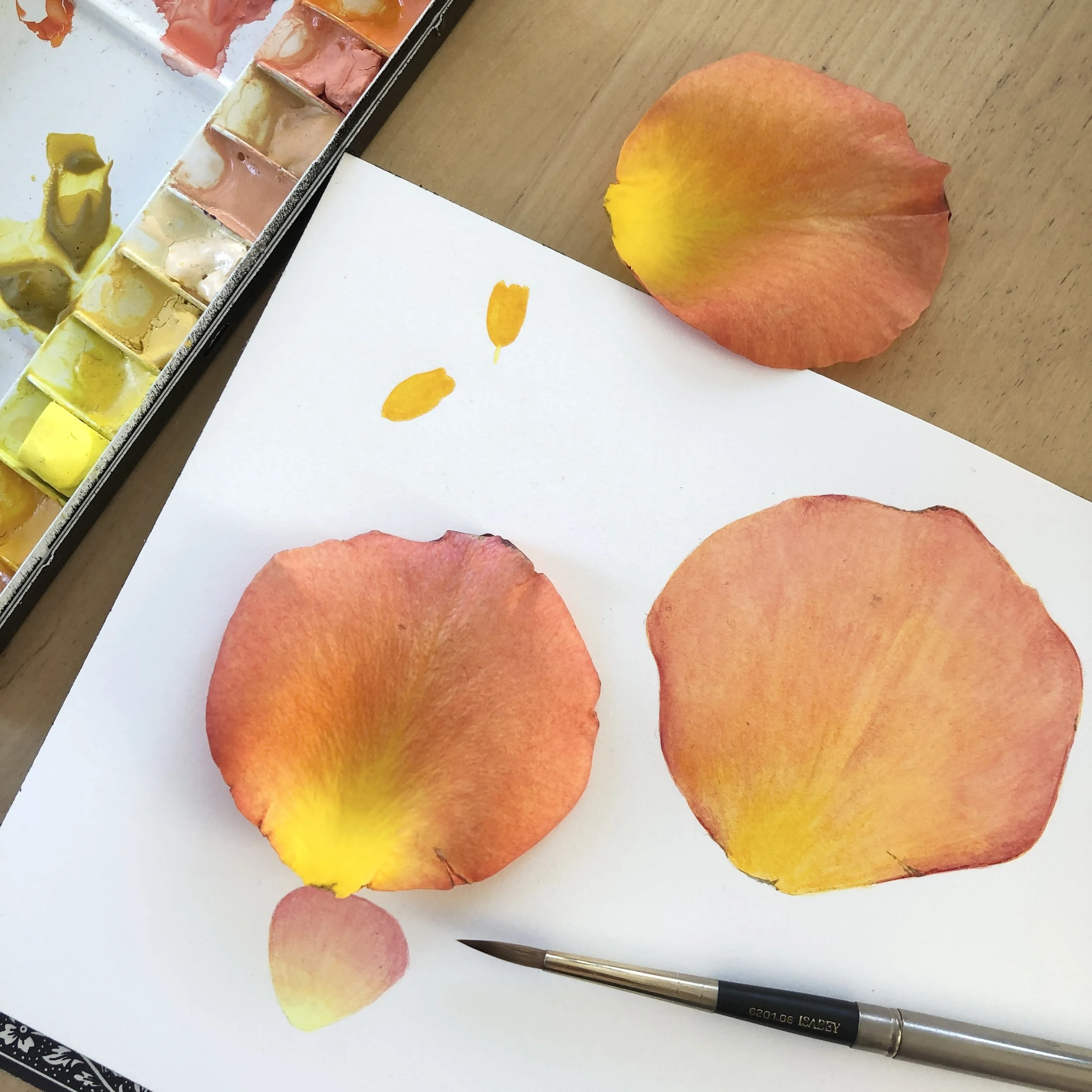 Painting Flower Petals - Online Class on Thursday, May 1st // 5:00pm-6:30pm