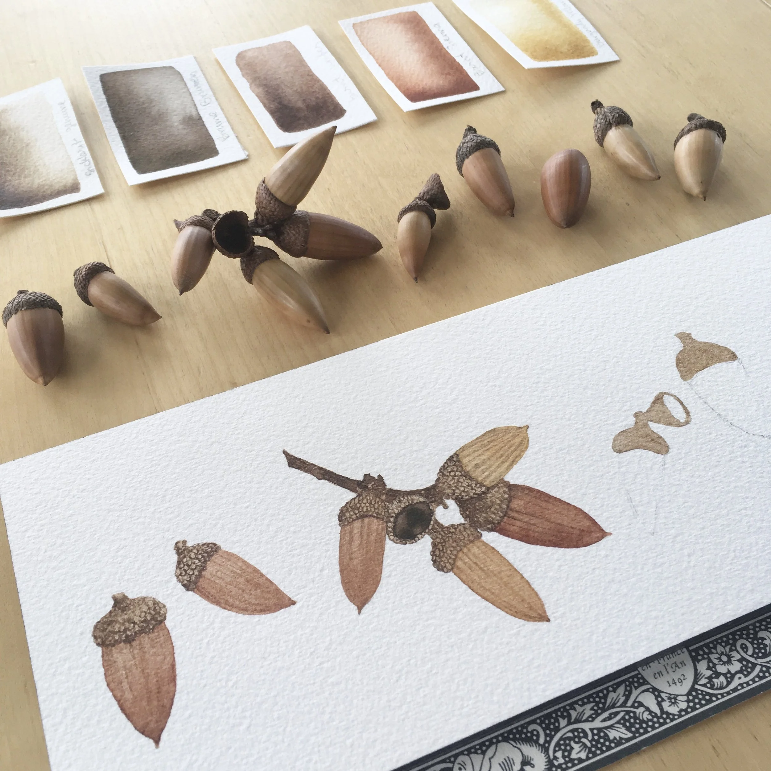 Painting Acorns! Online Class on Thursday December 4th // 5pm - 6:30pm