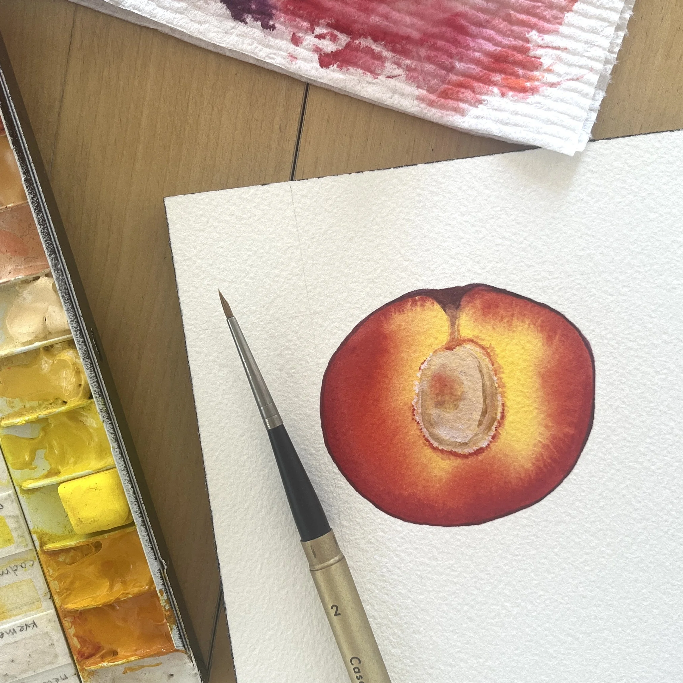 Painting Plums! - Online Class on Thursday, July 2nd // 5 - 6:30pm