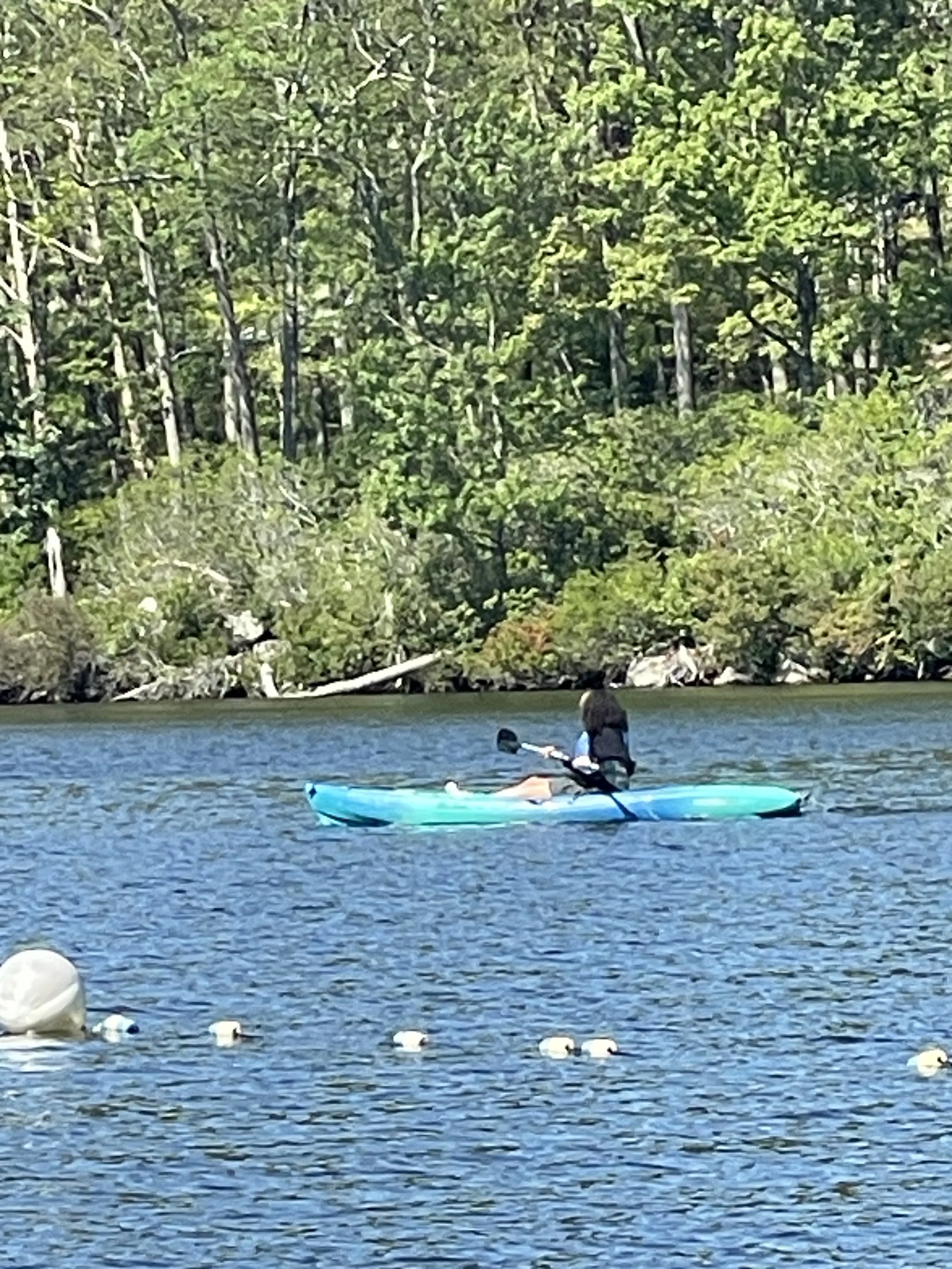 IMG_4629.jpeg