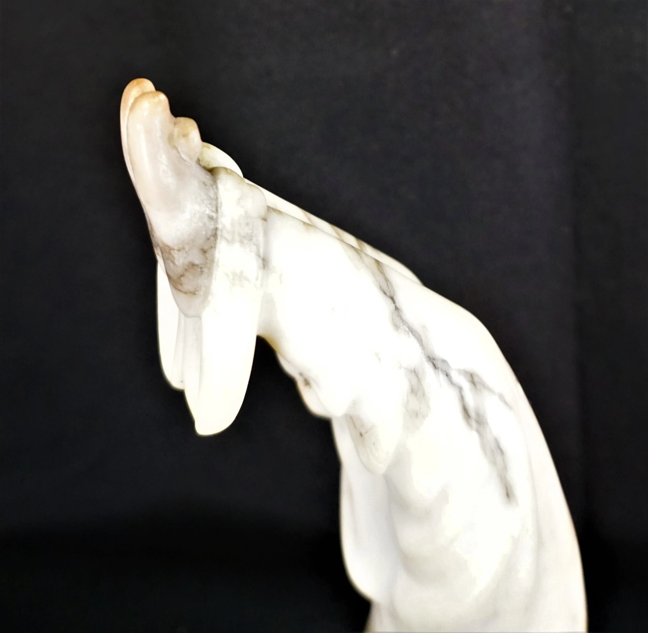 DSC06950_2__org.JPG