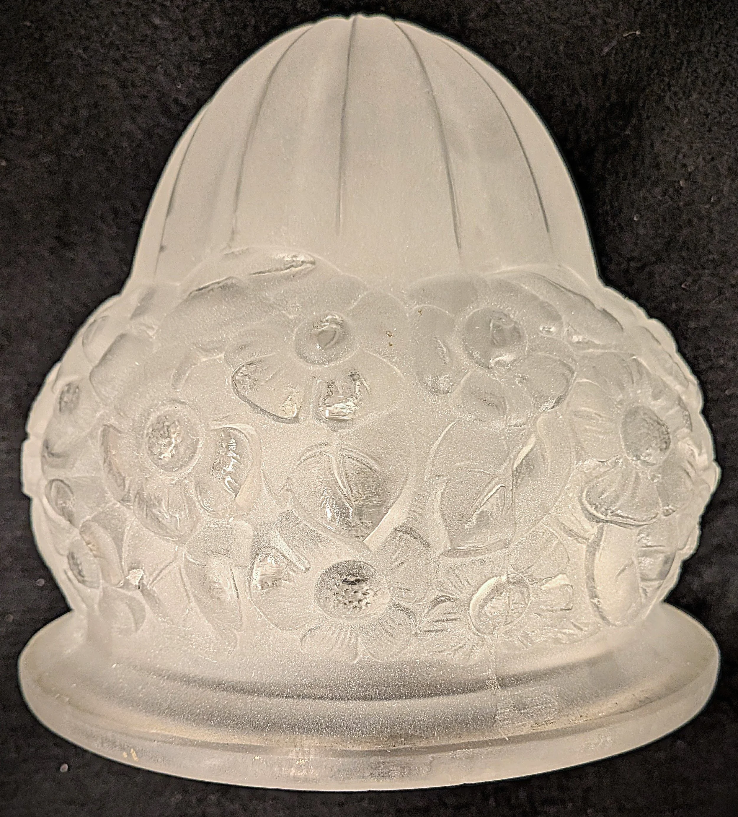 PXL_20260628_195057988.jpg