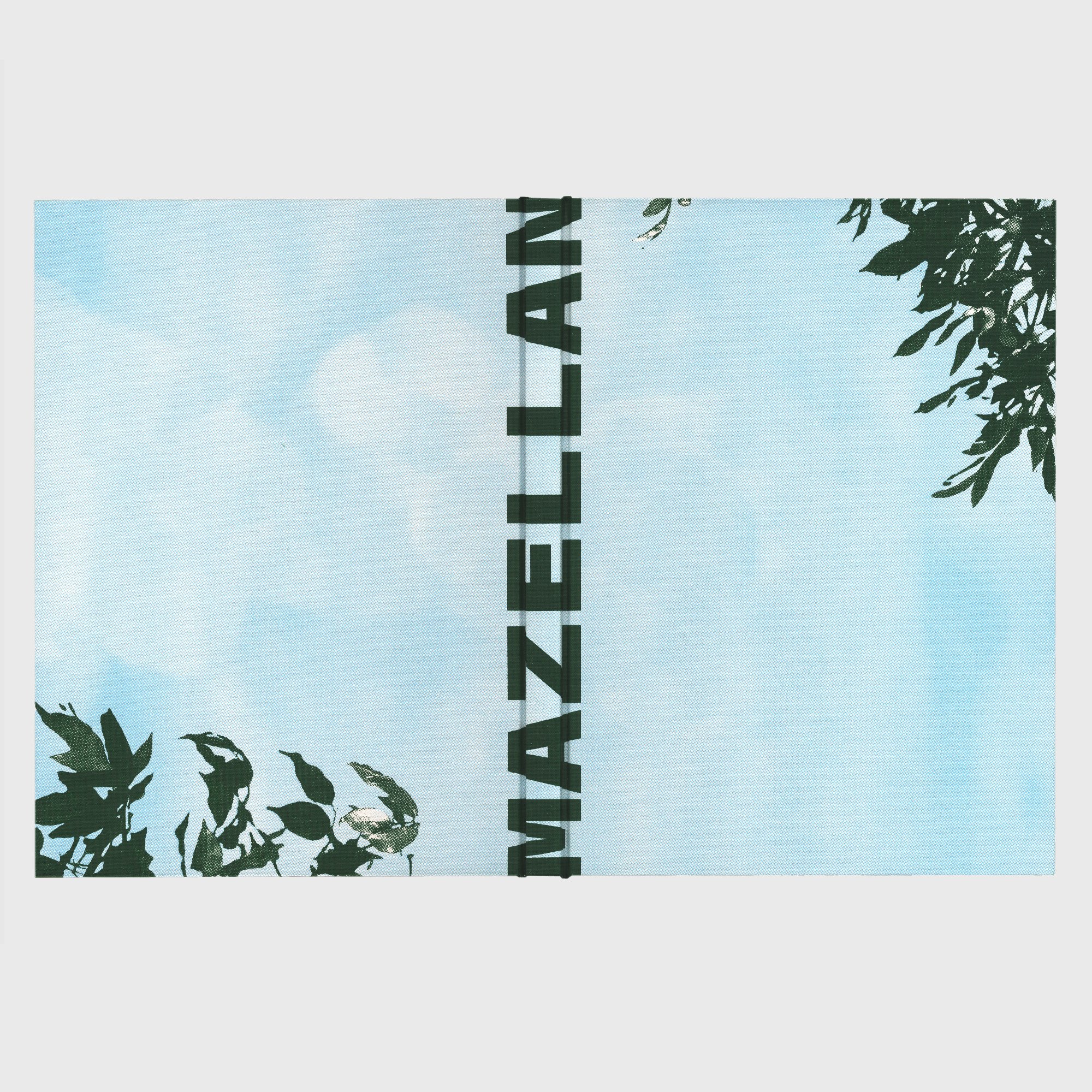Mazellan cover.jpg