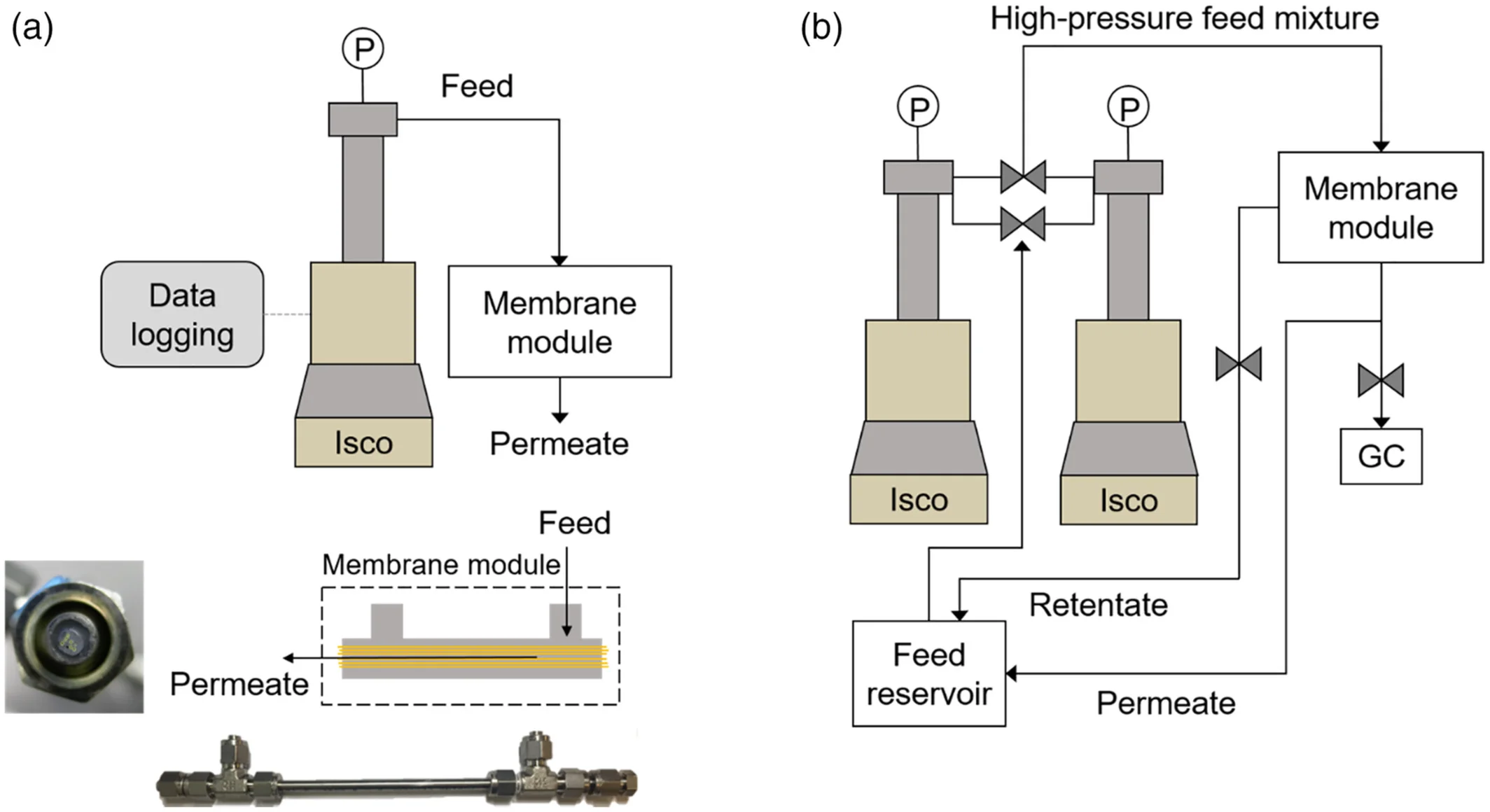 aic16757-fig-0003-m.jpg