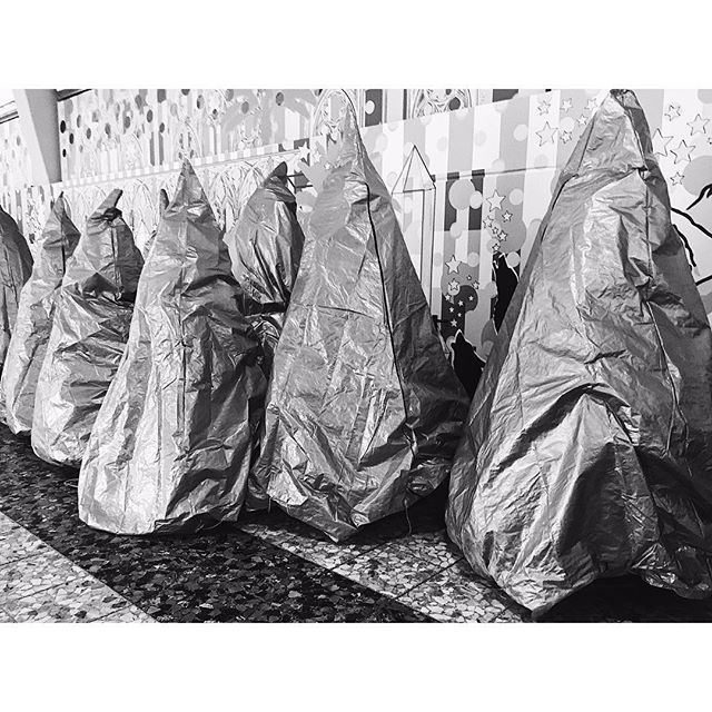 Queueing Christmas trees in coats.