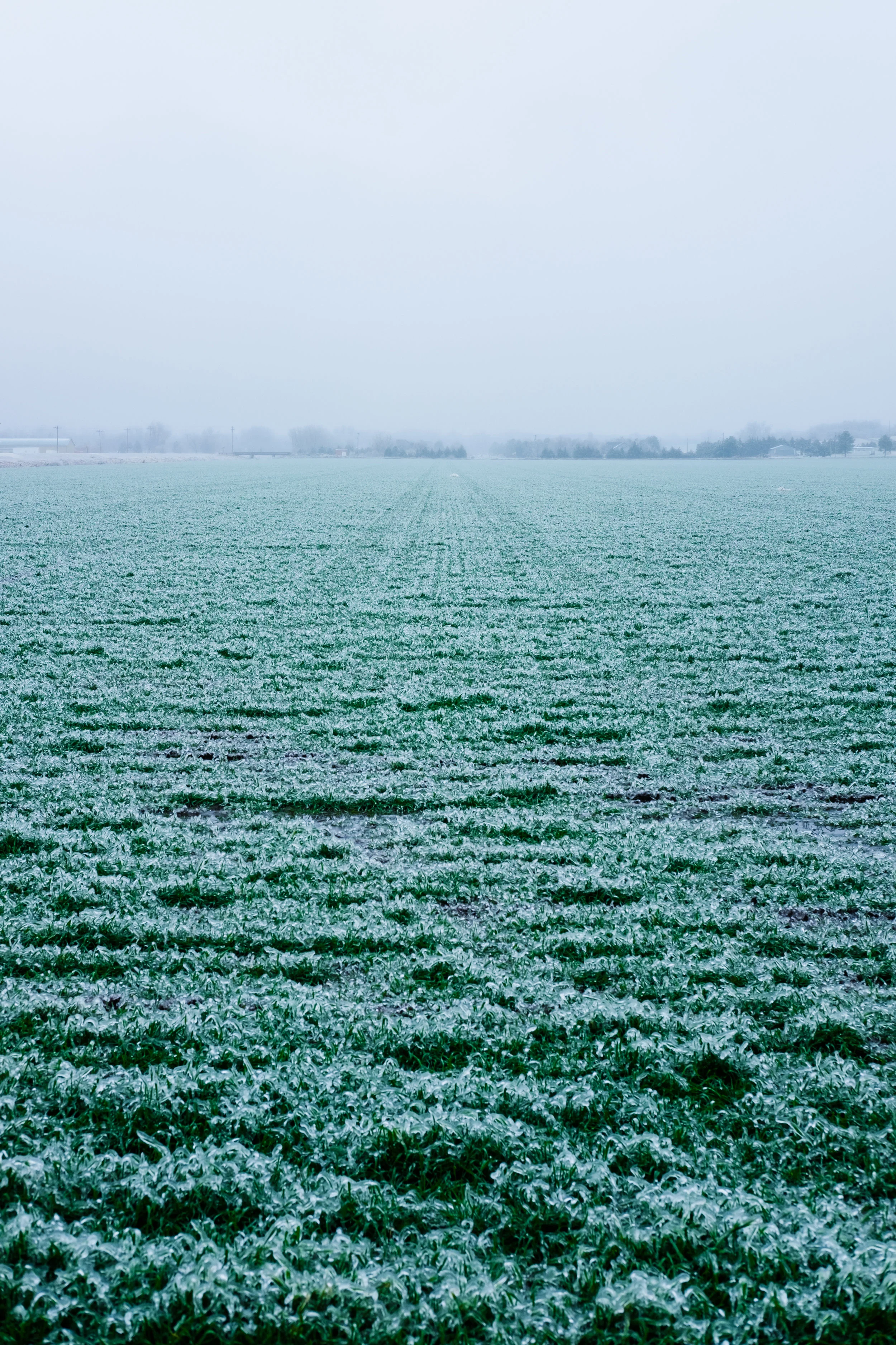 DSCF5738.jpg