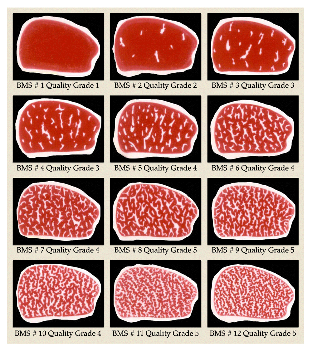 What s the "right" kind of marbling? — Fuller Consulting What s the "right" kind of marbling? — Fuller Consulting