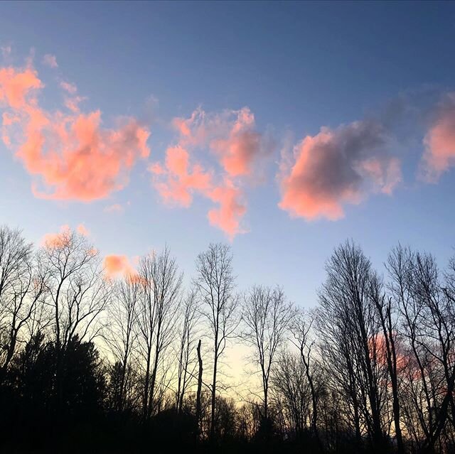 &ldquo;If light is in your heart, you will find your way home.&rdquo; Rumi
.
.
.
.
.
.
#salvatomill #home #light #inyourheart #rumi #inthedarkness #lightanddark #naturallight #nature #skies #trees #clouds #countrywalk #countrylife #survival #lookingi