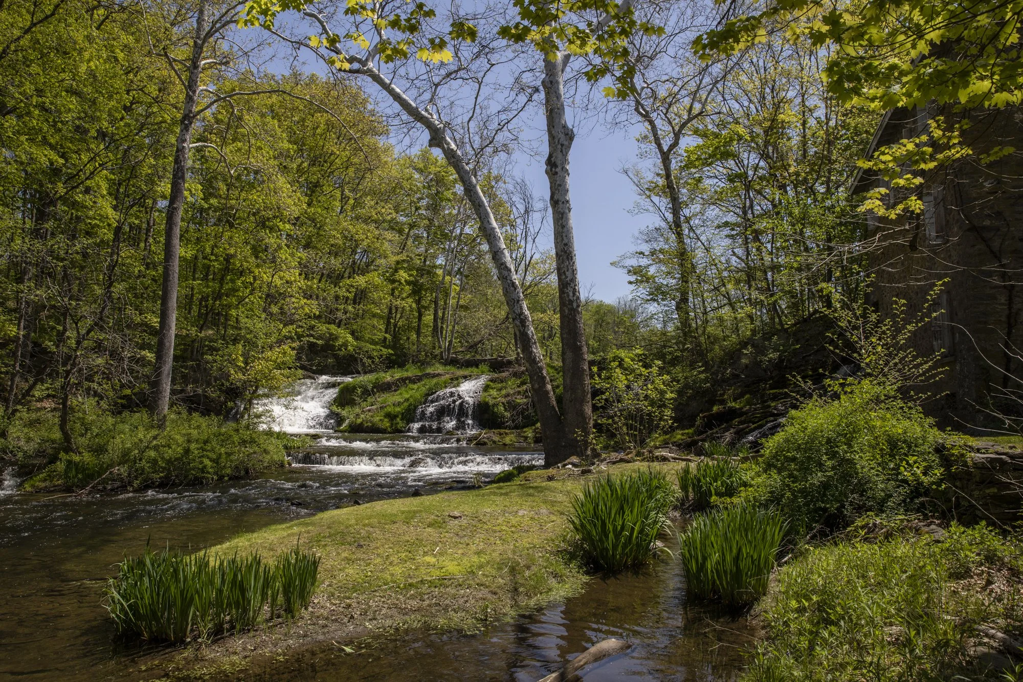 Salvato Mill waterfall