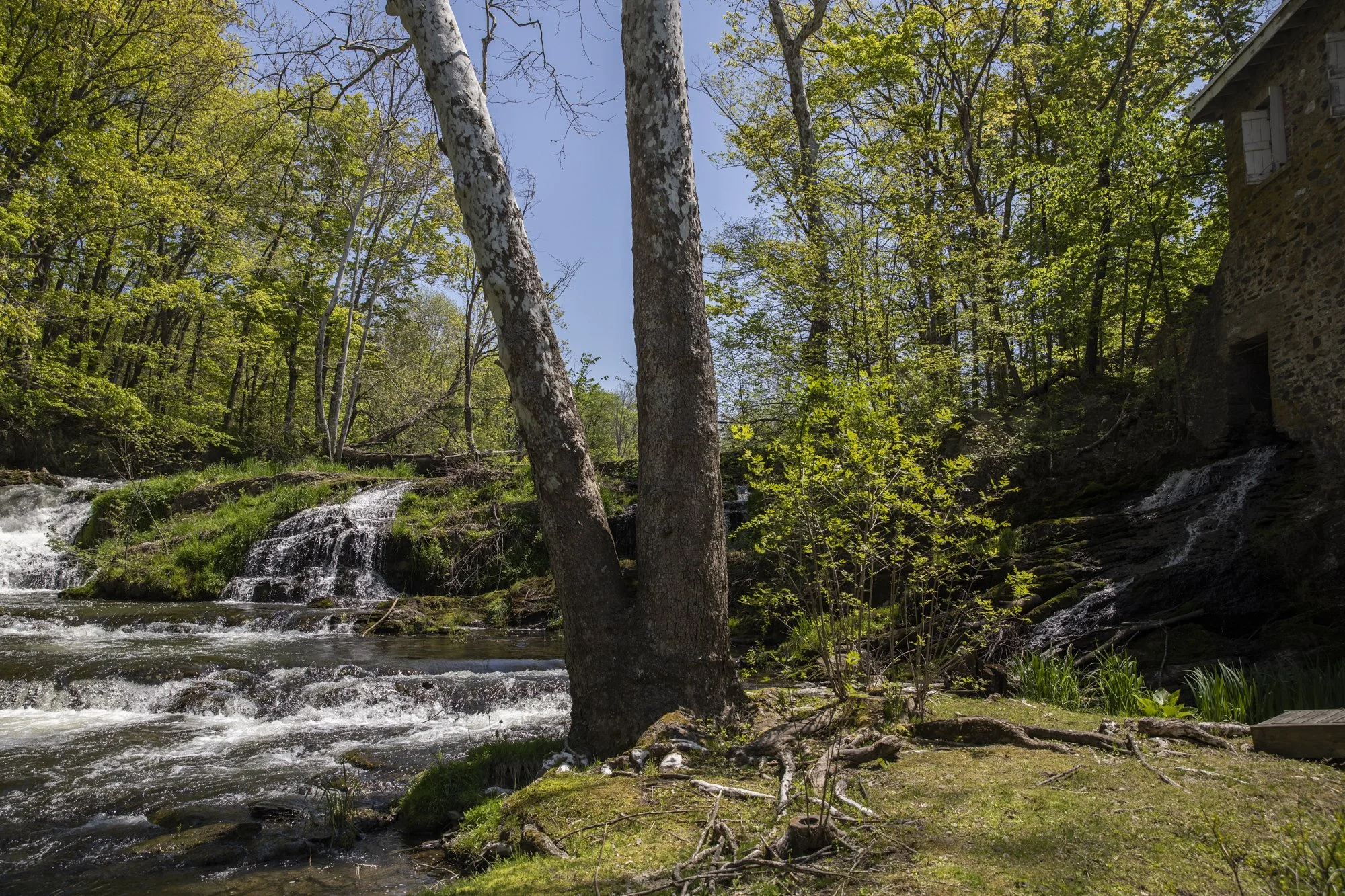 Salvato Mill waterfall