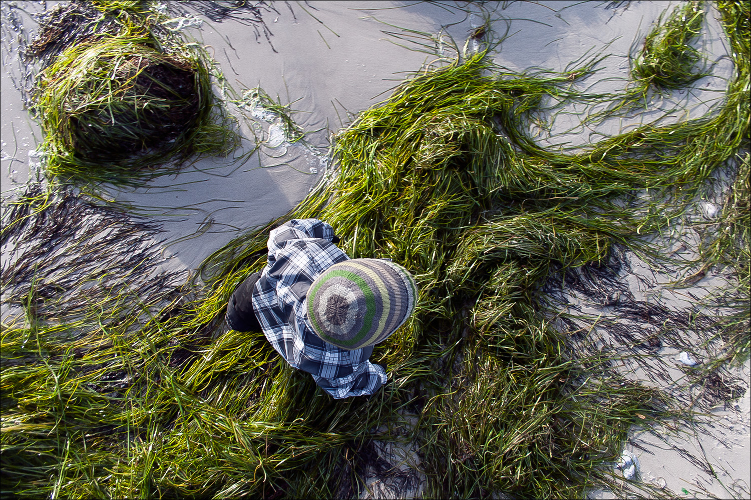 Walking on Seaweed