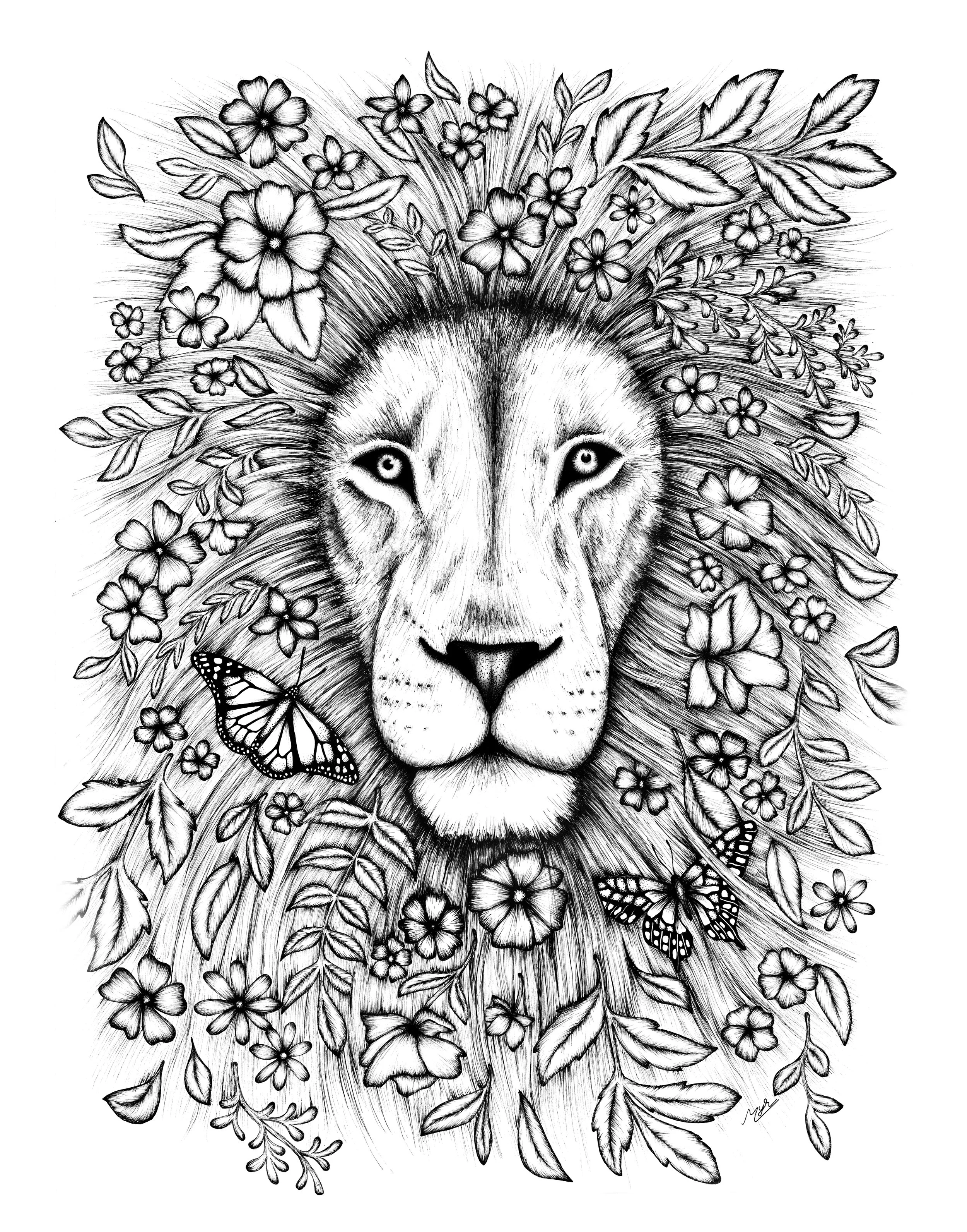 lion.jpg
